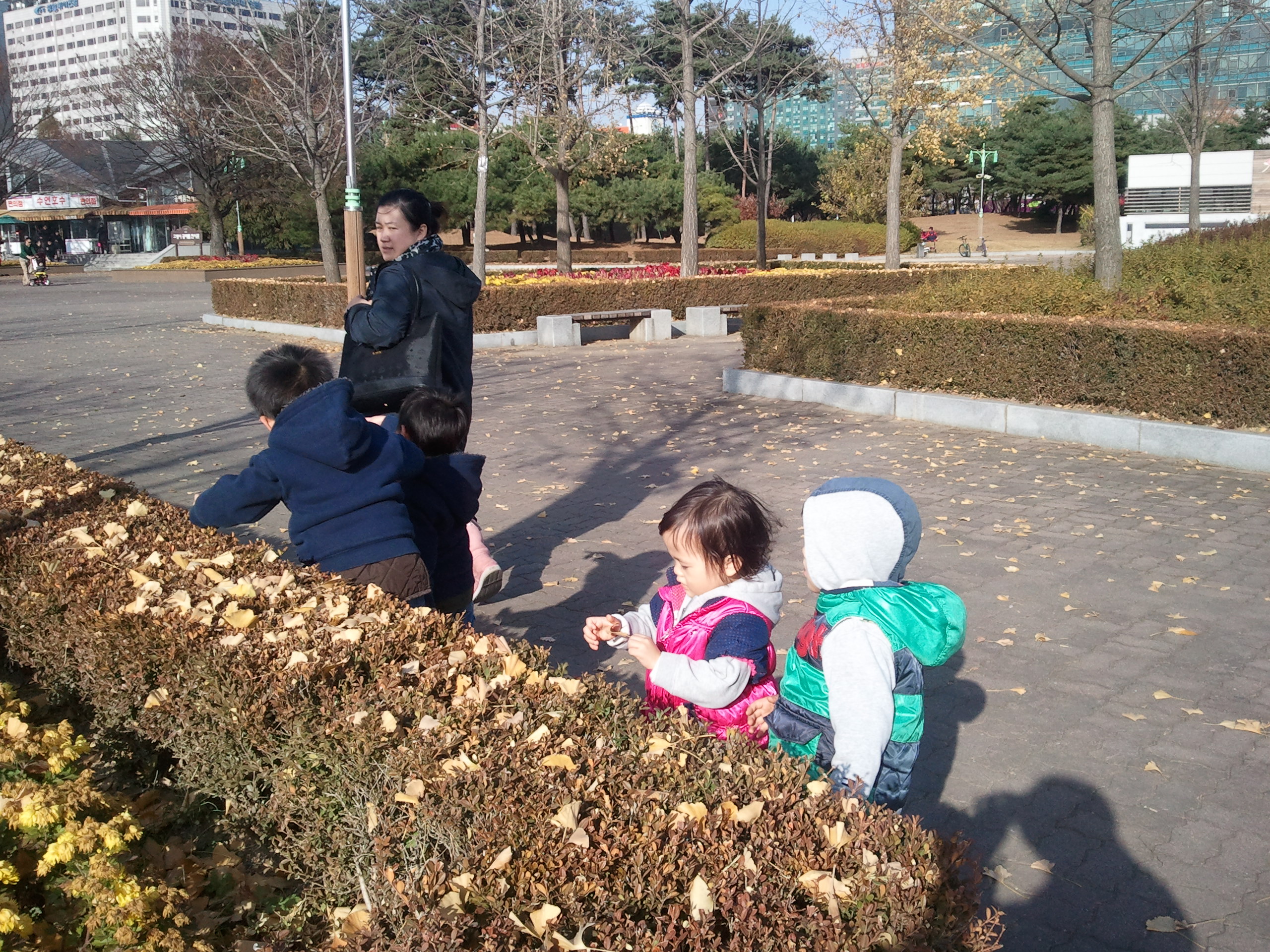 2010-11-13 14.54.52.jpg