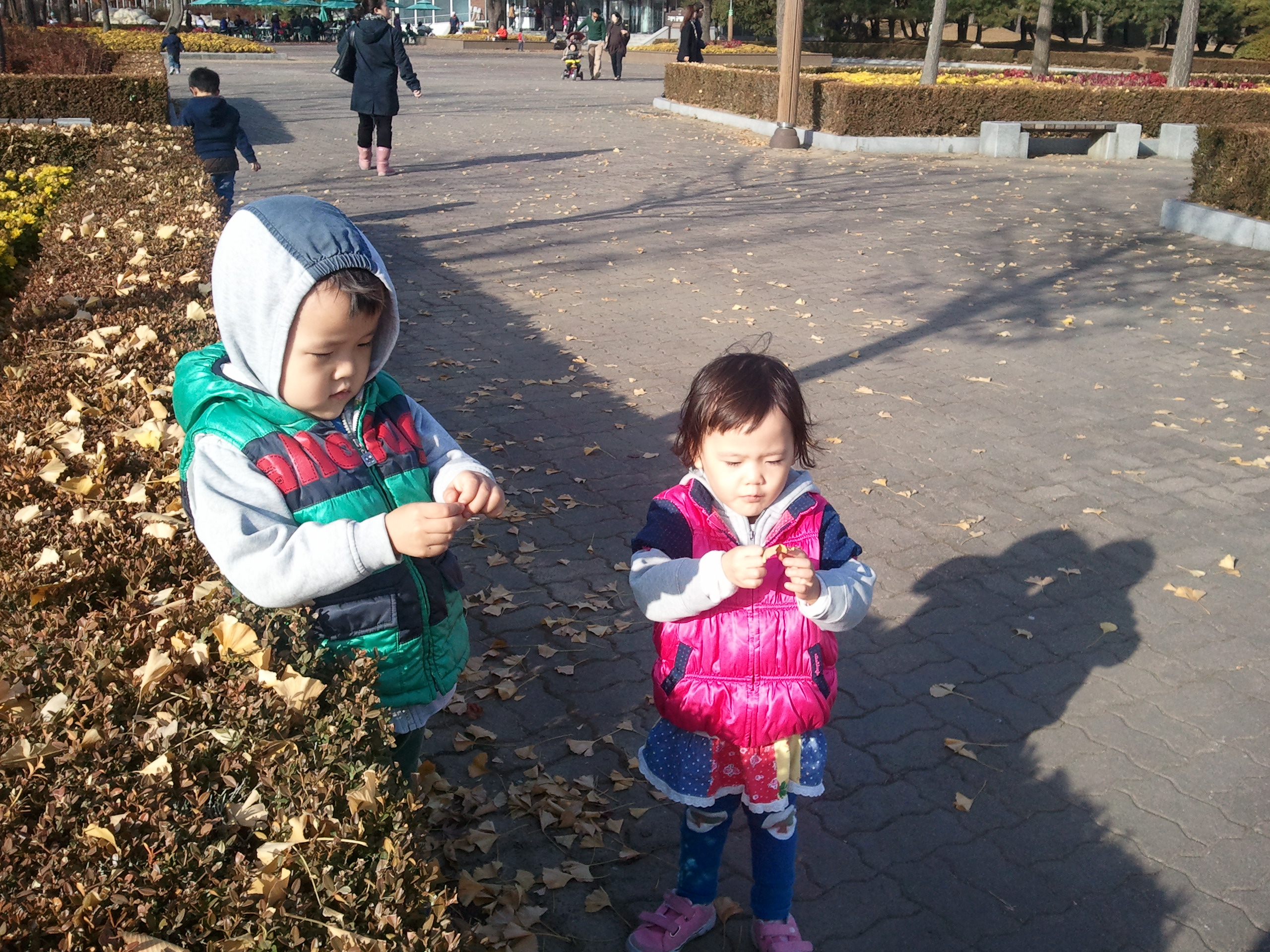 2010-11-13 14.55.09.jpg