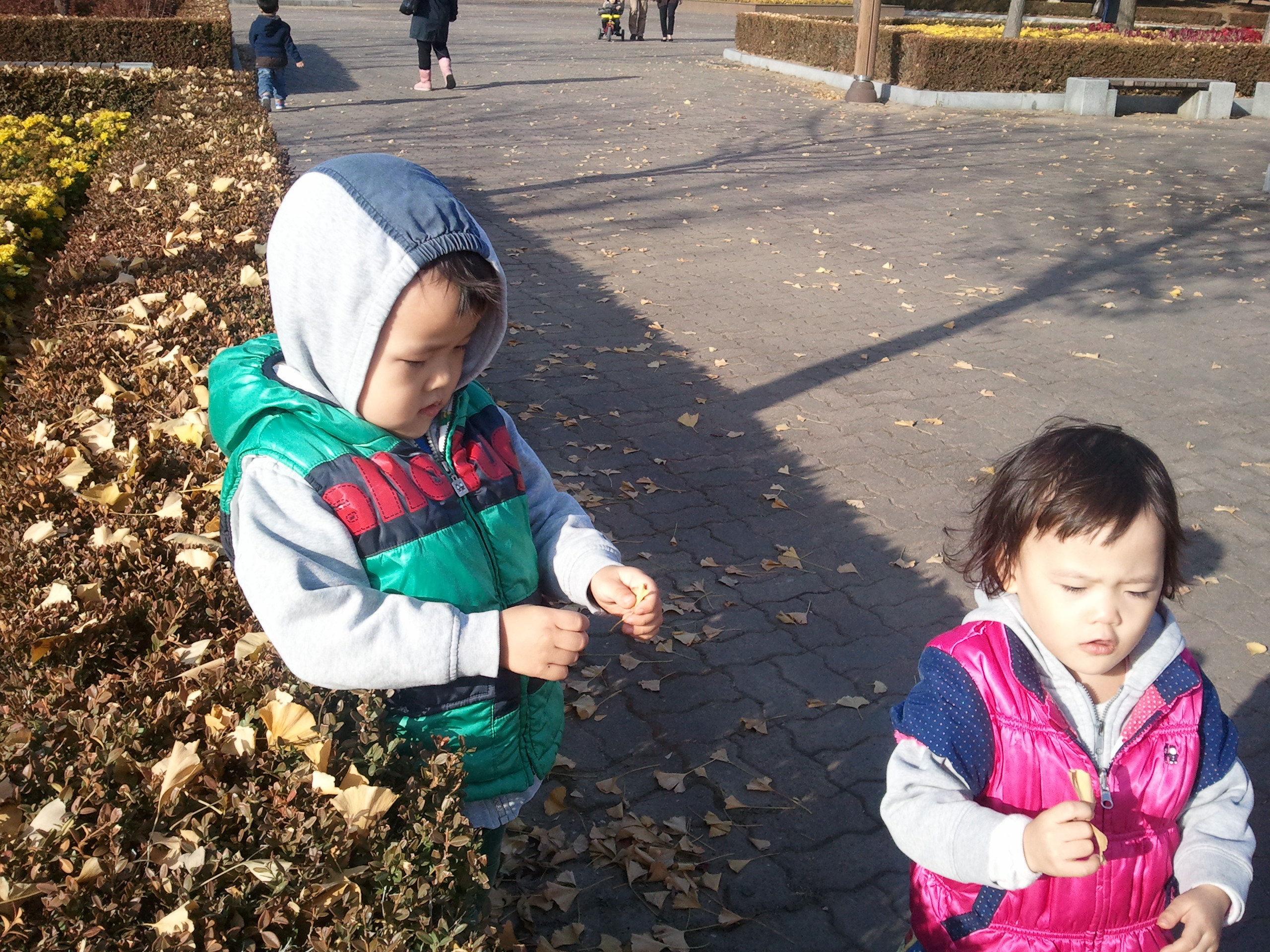 2010-11-13 14.55.14.jpg