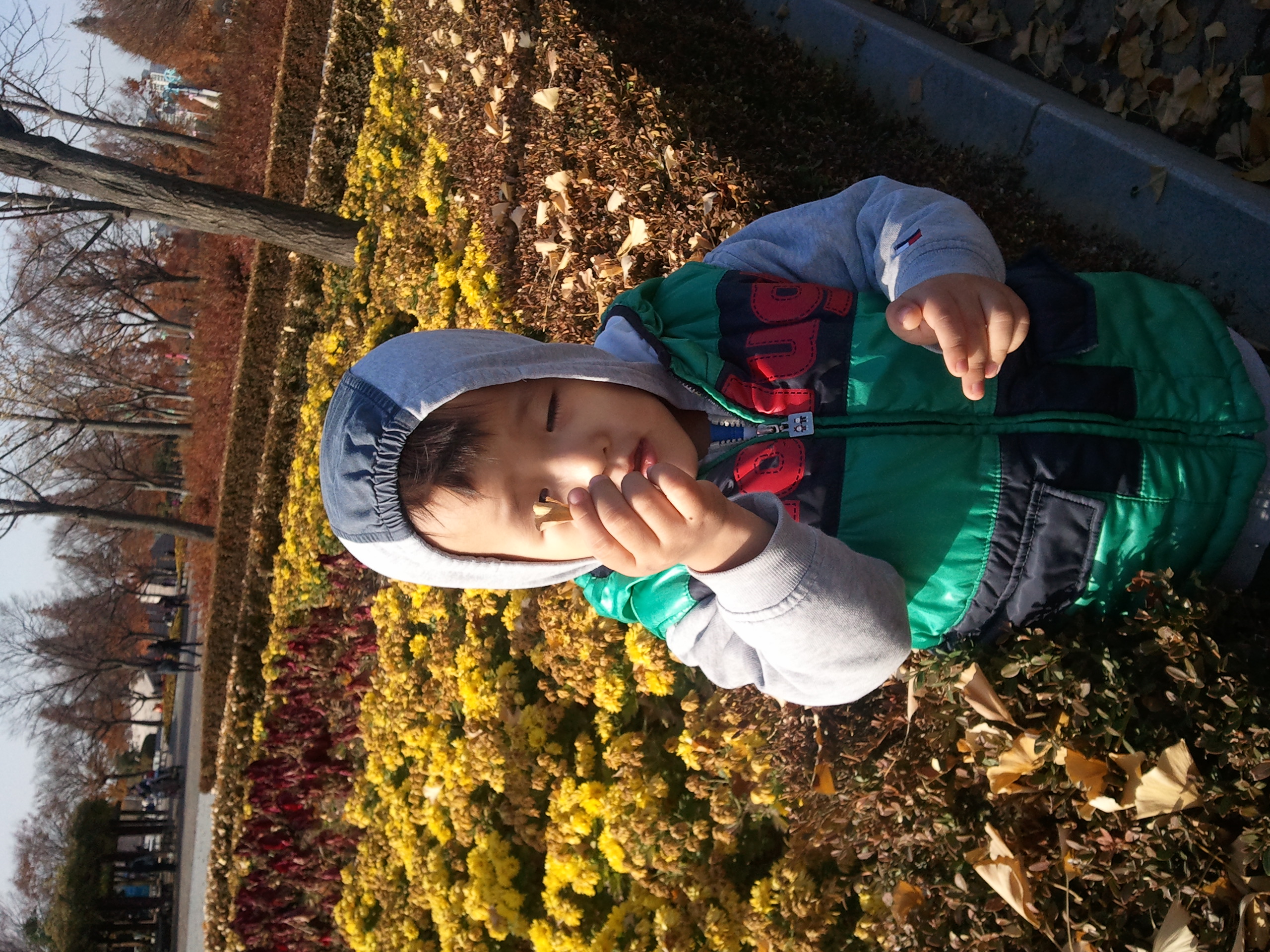2010-11-13 14.55.20.jpg