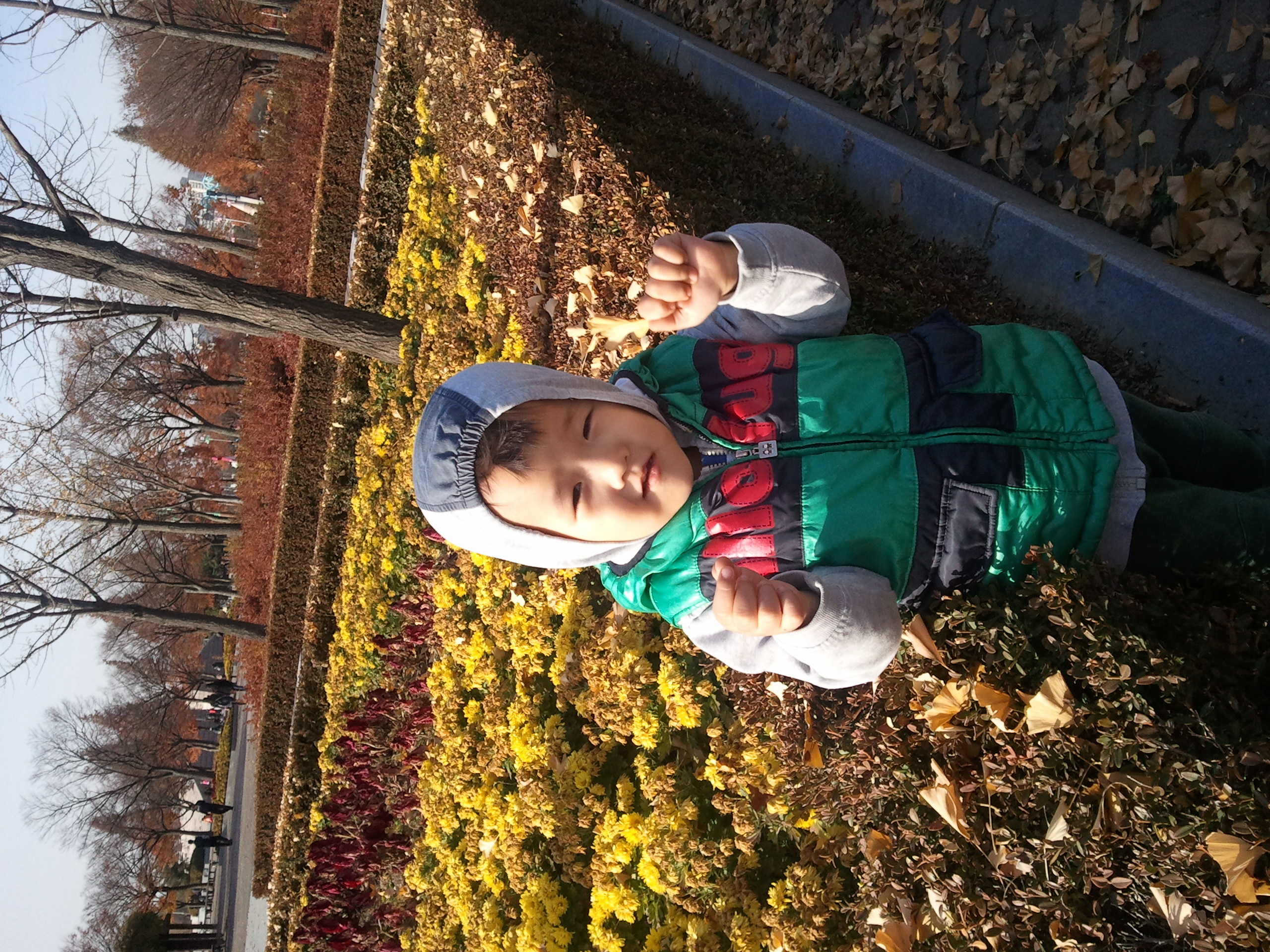 2010-11-13 14.55.27.jpg