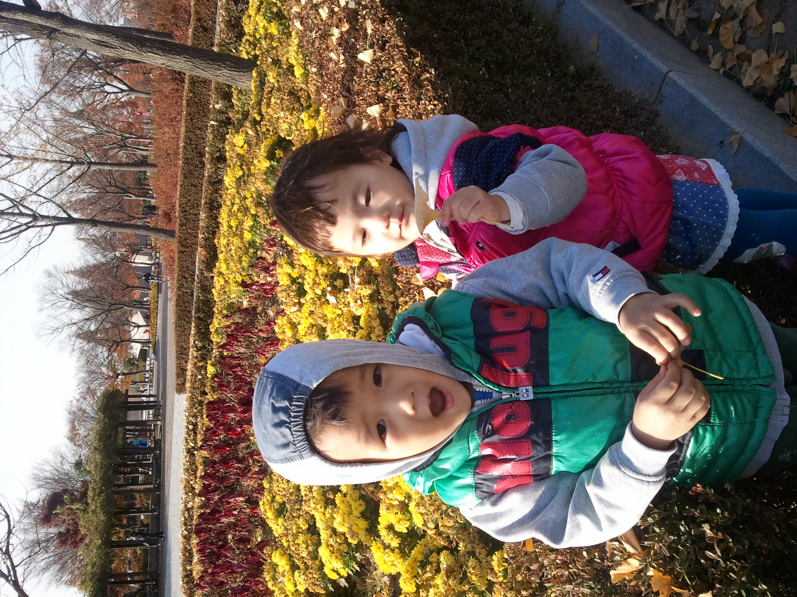 2010-11-13 14.55.41.jpg