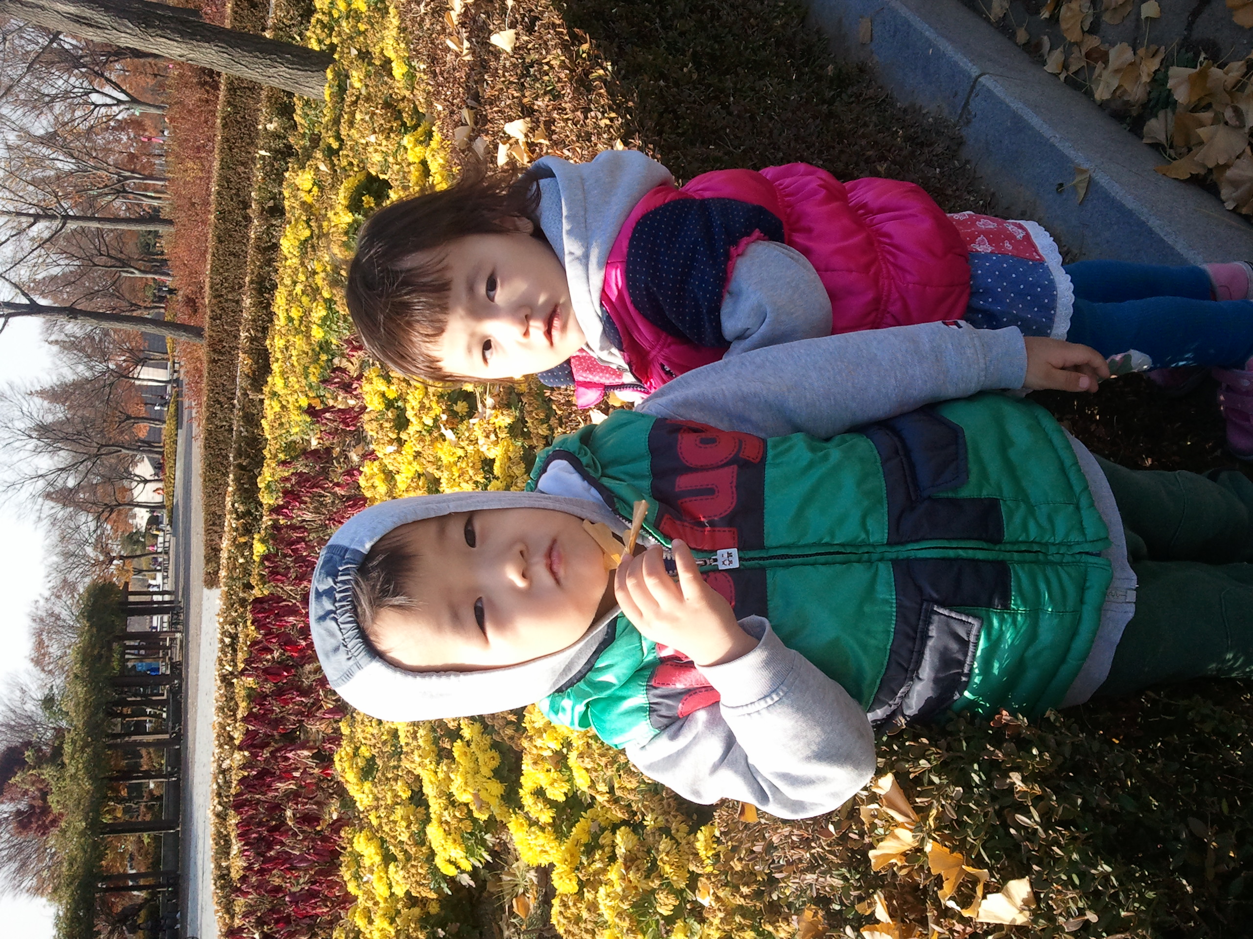 2010-11-13 14.55.48.jpg