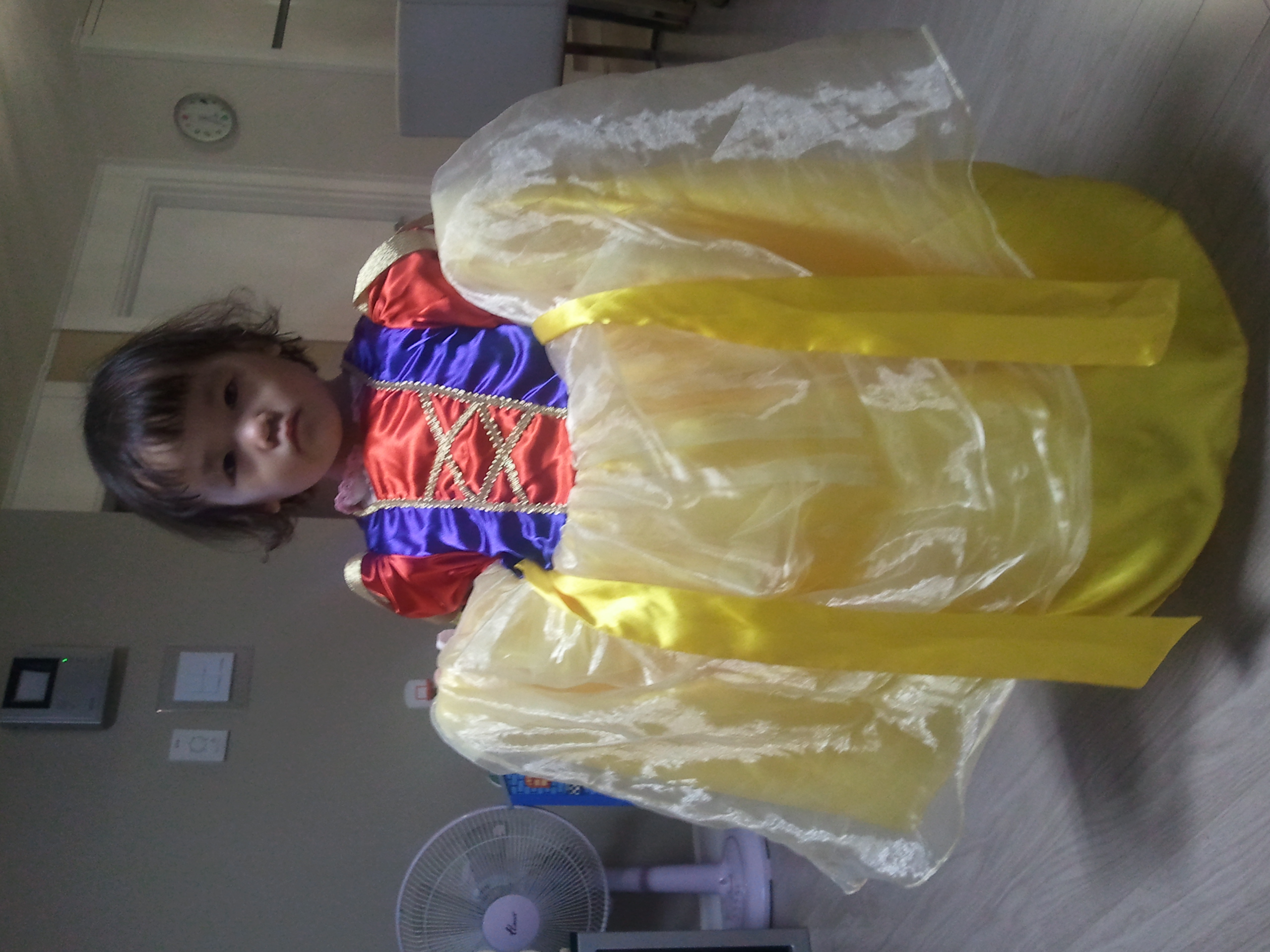 2010-11-28 17.35.12.jpg