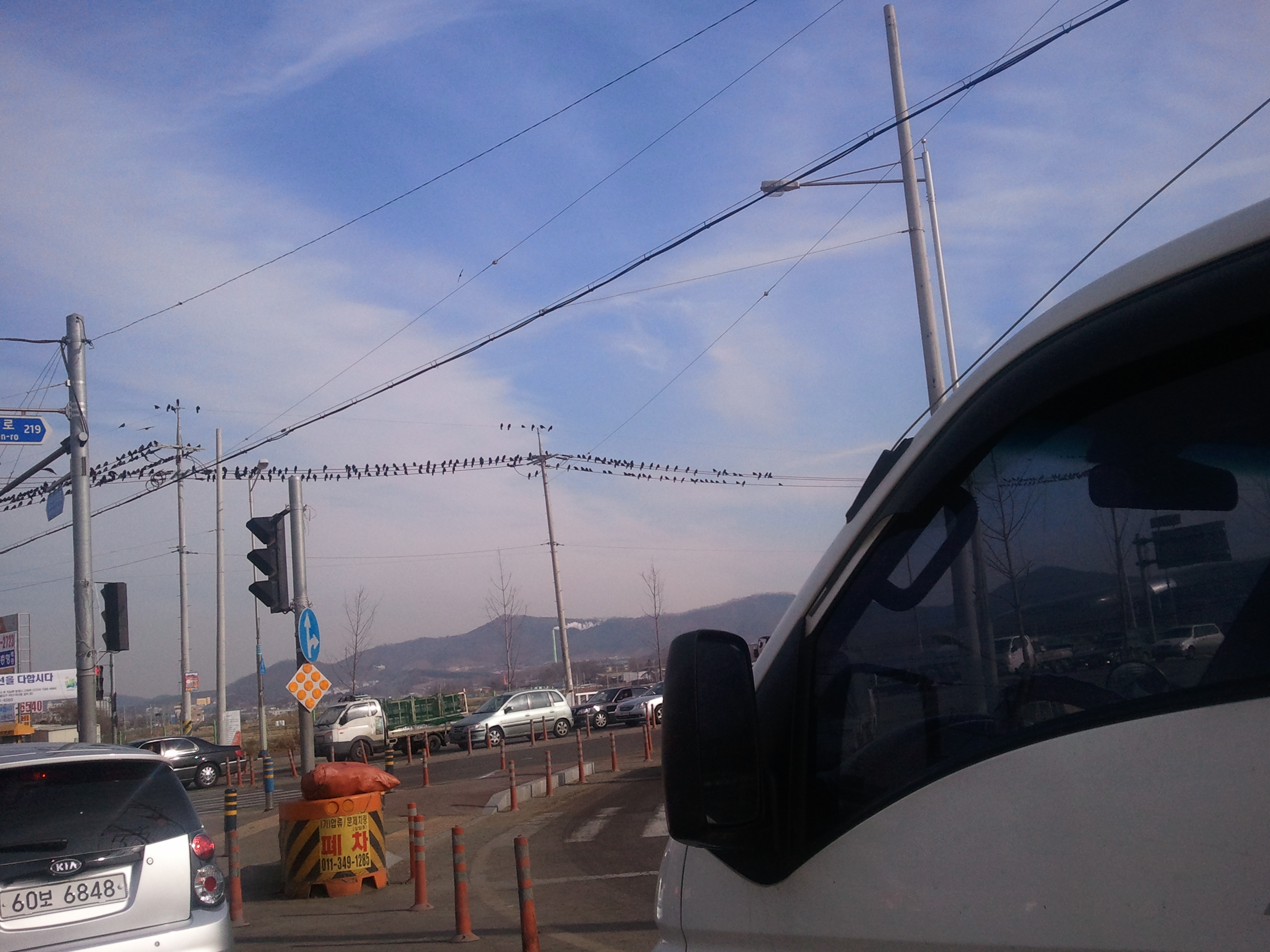 2011-01-21 11.28.05.jpg