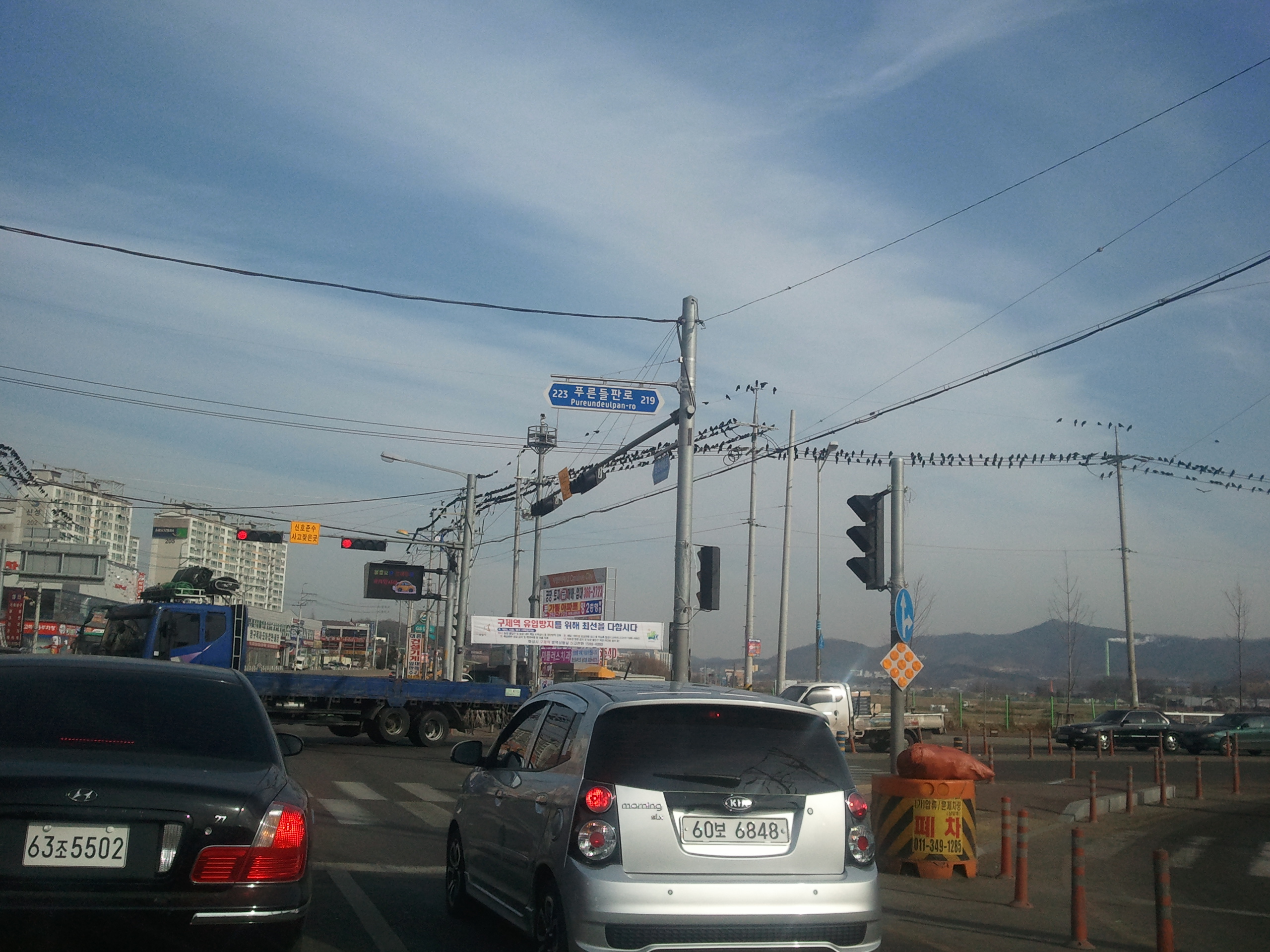 2011-01-21 11.28.15.jpg