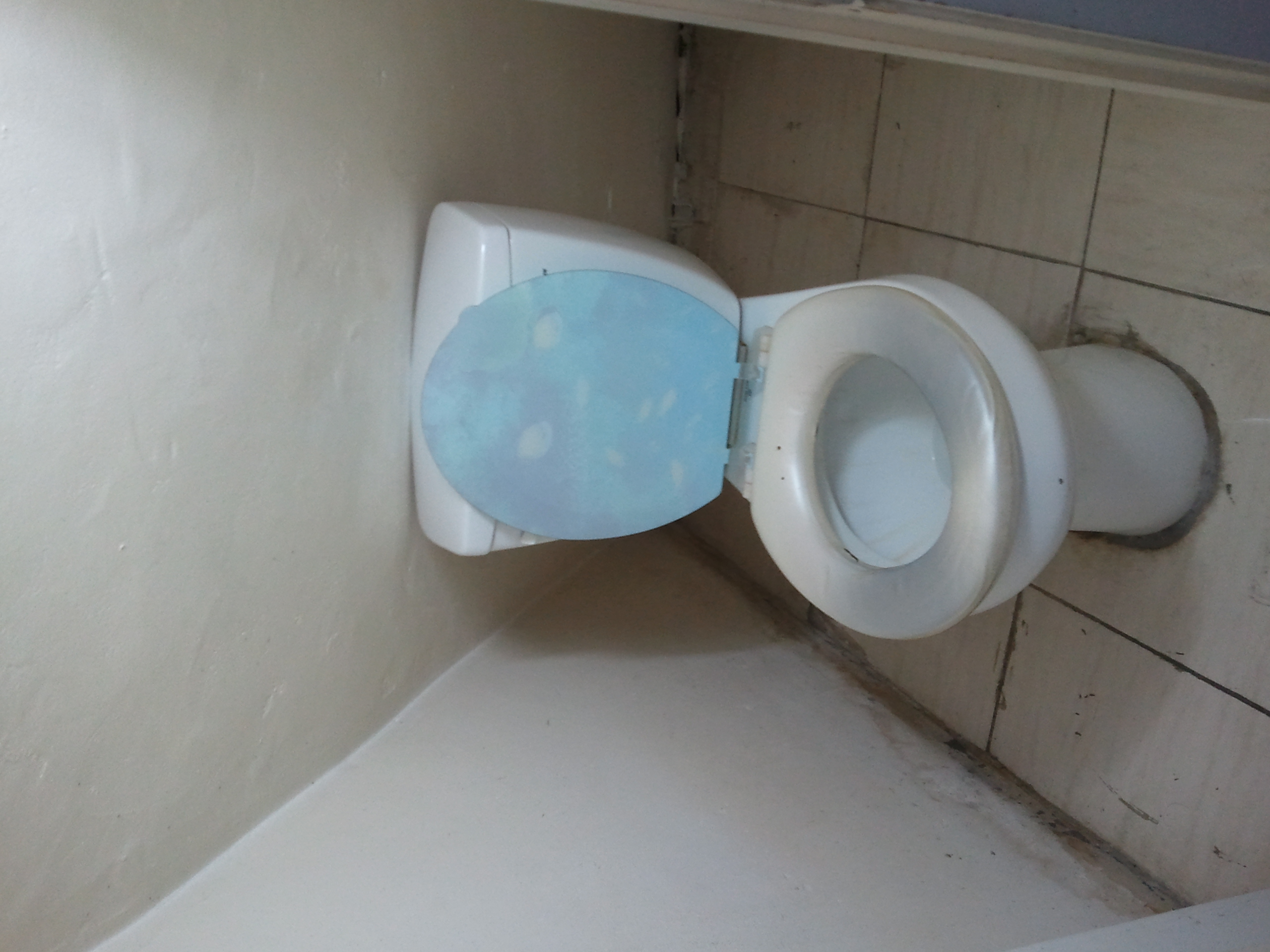 2011-02-26 19.37.31.jpg