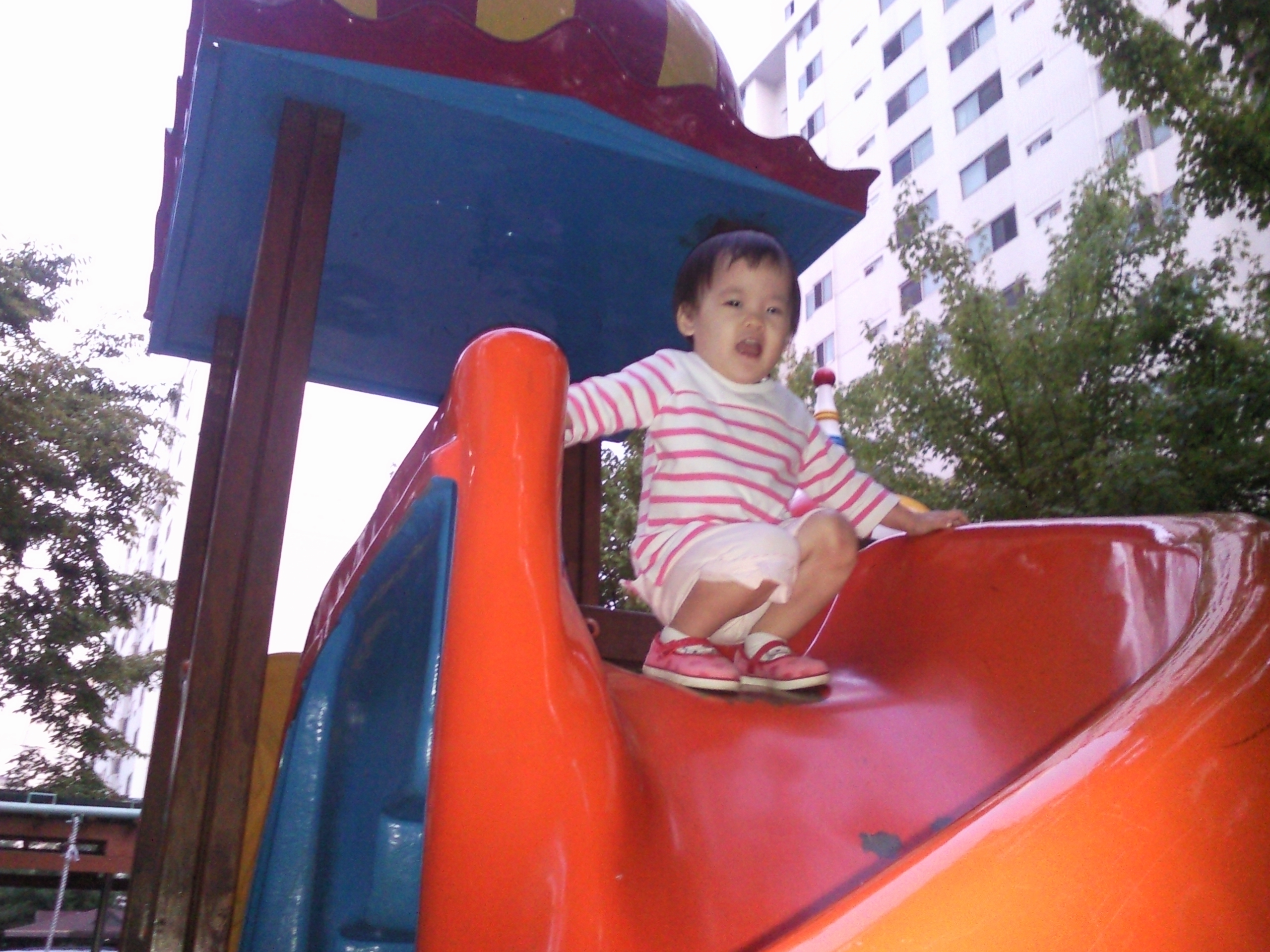 P090922004_1.jpg