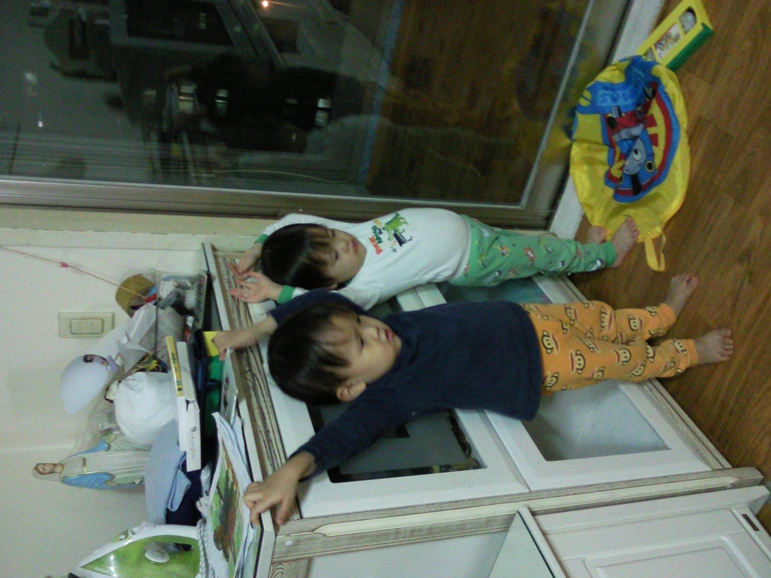 P100217001_1.jpg