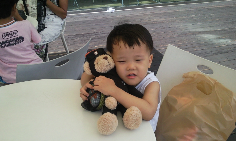 P100806012_1.jpg