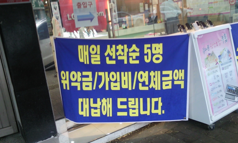 P100810002_1.jpg