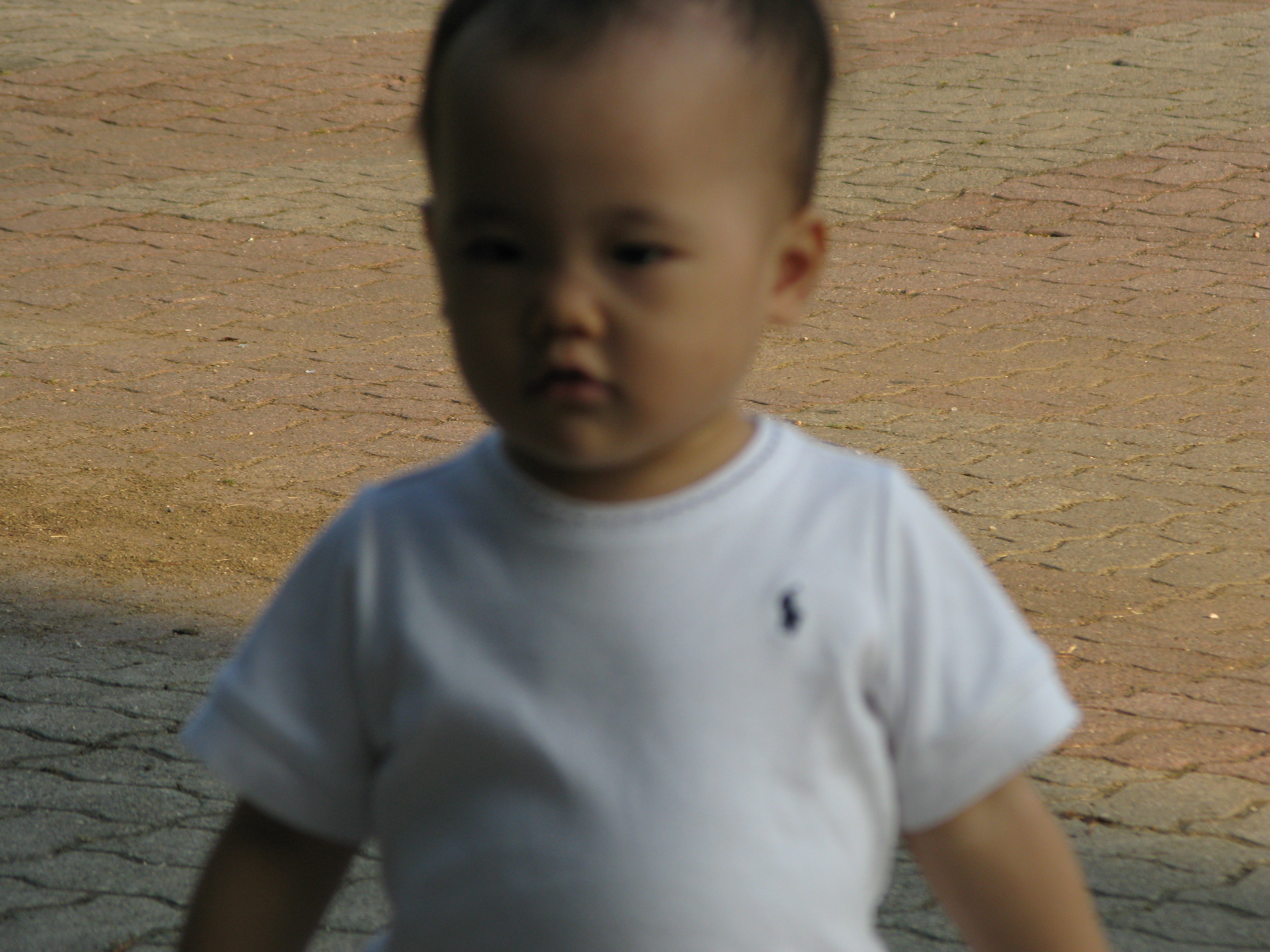 2008-09-21 오후 4-52-15.JPG
