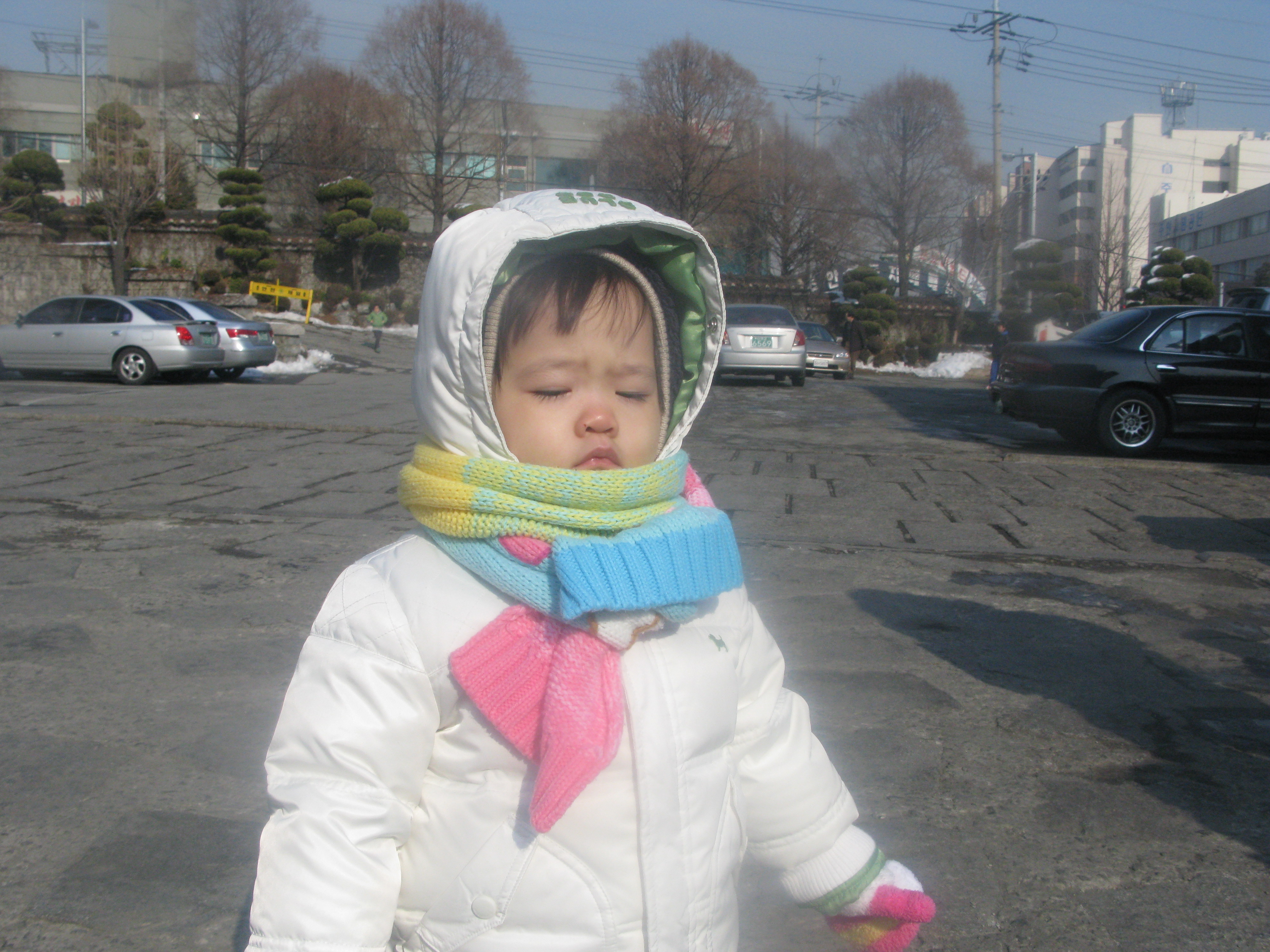 2010-01-17 오후 1-18-59_0323.JPG