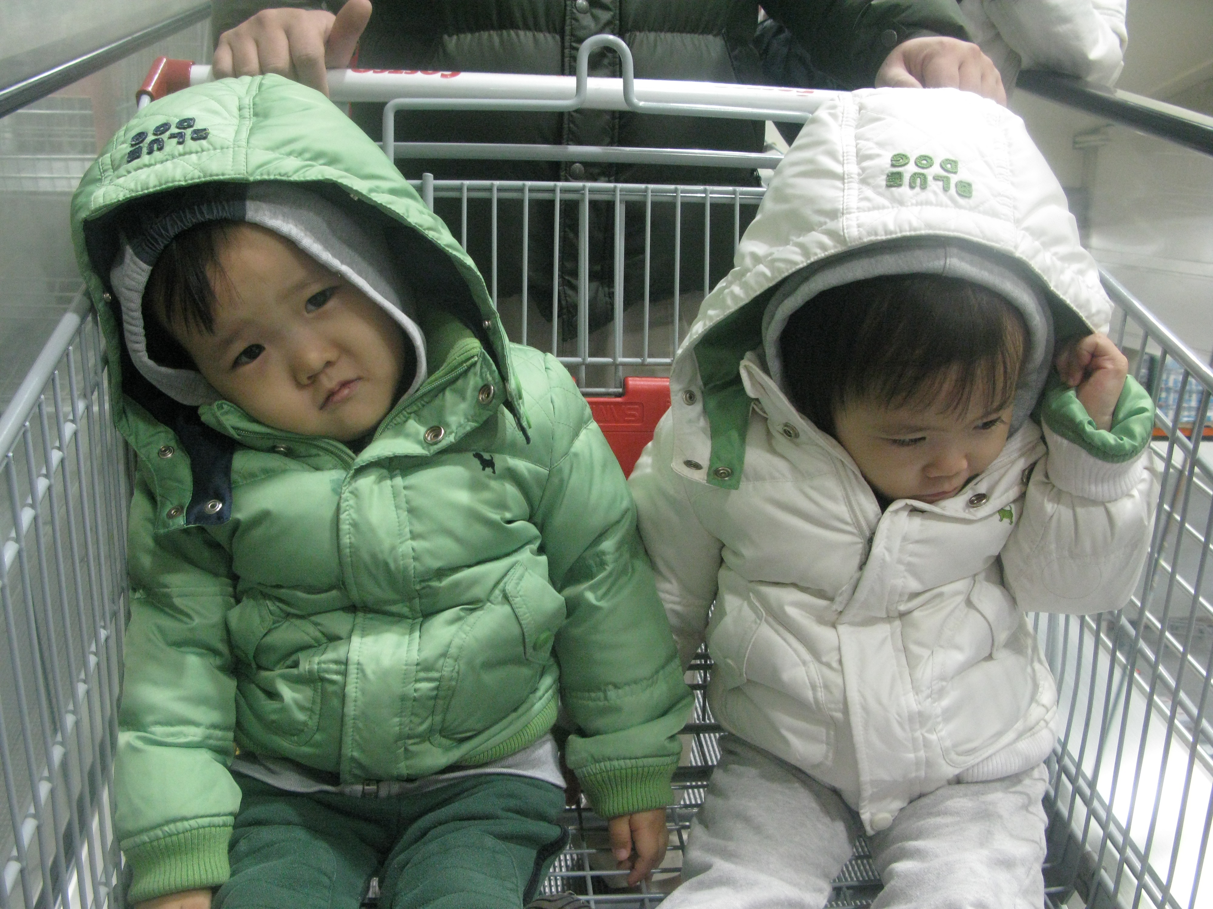 2010-01-24 오후 1-36-21_0374.JPG