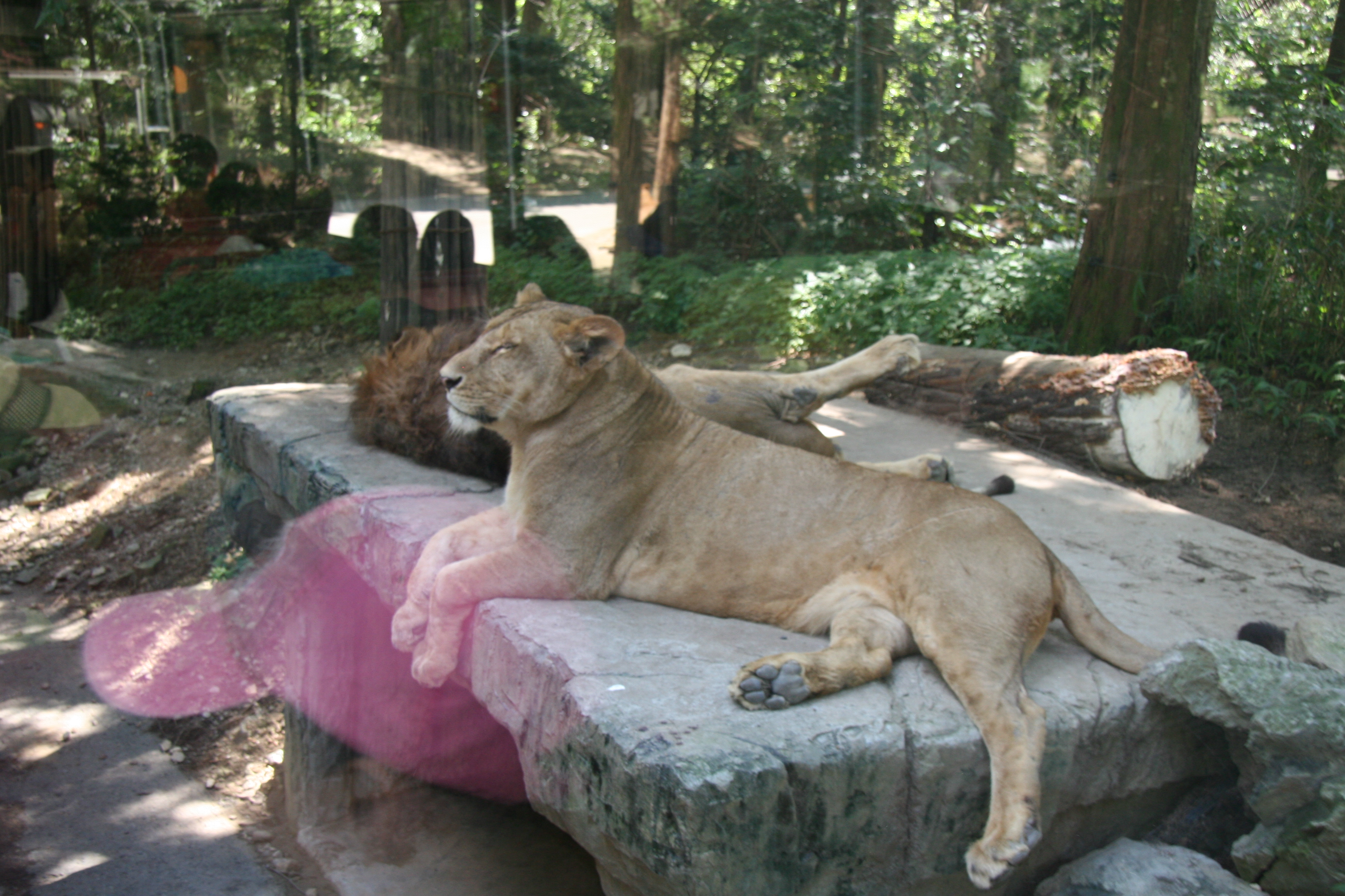 2011-08-21-000644.JPG