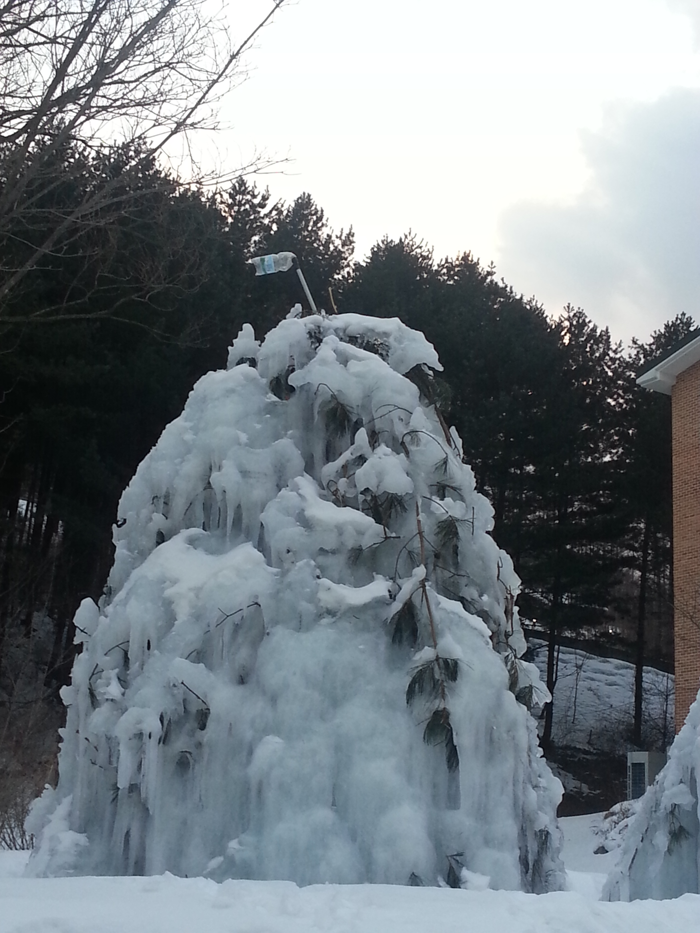 2013-02-23 18.03.33.jpg