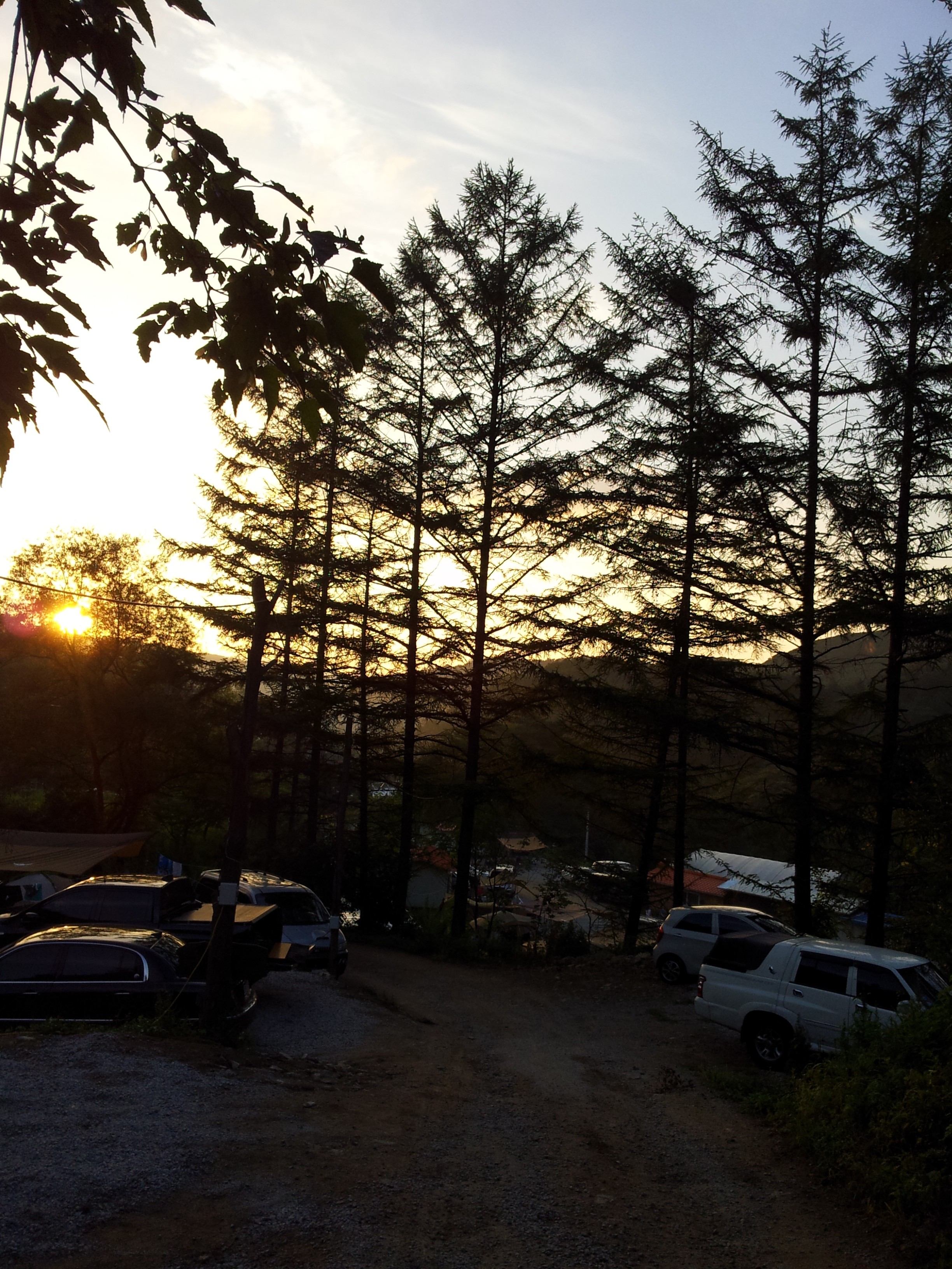 2013-03-04 18.34.26.jpg