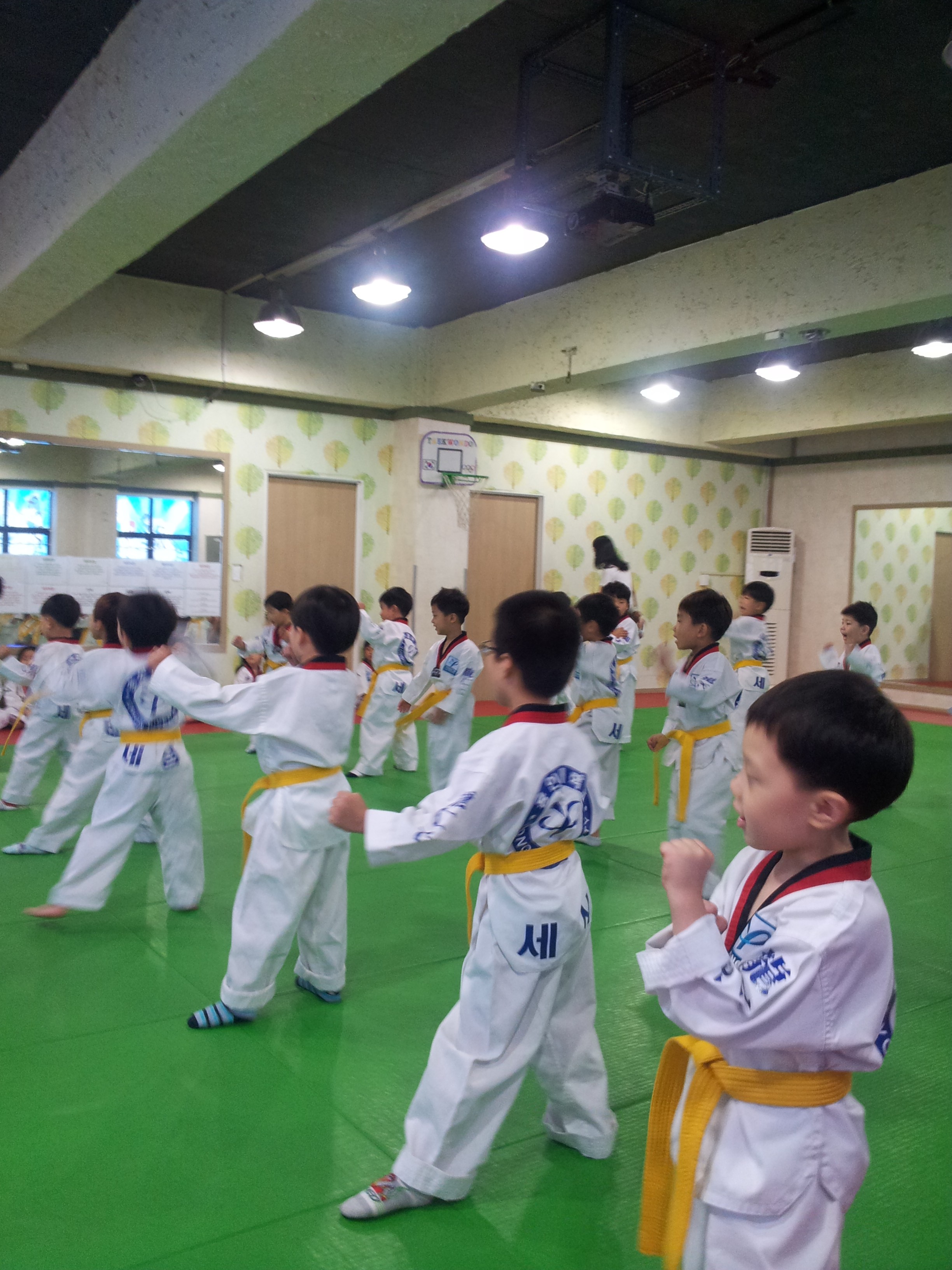 2013-03-04 18.36.26.jpg