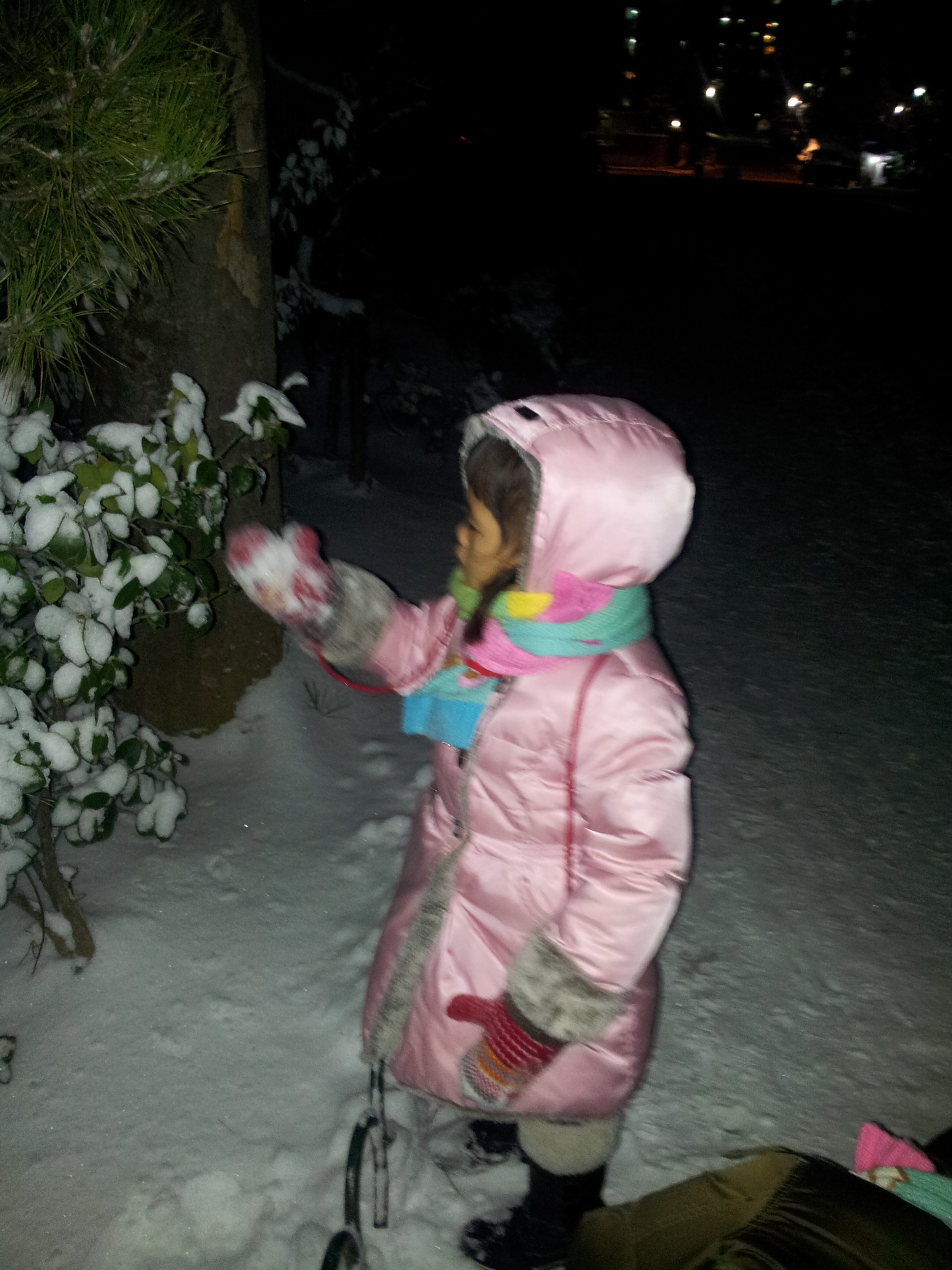 2013-03-04 18.42.01-1.jpg