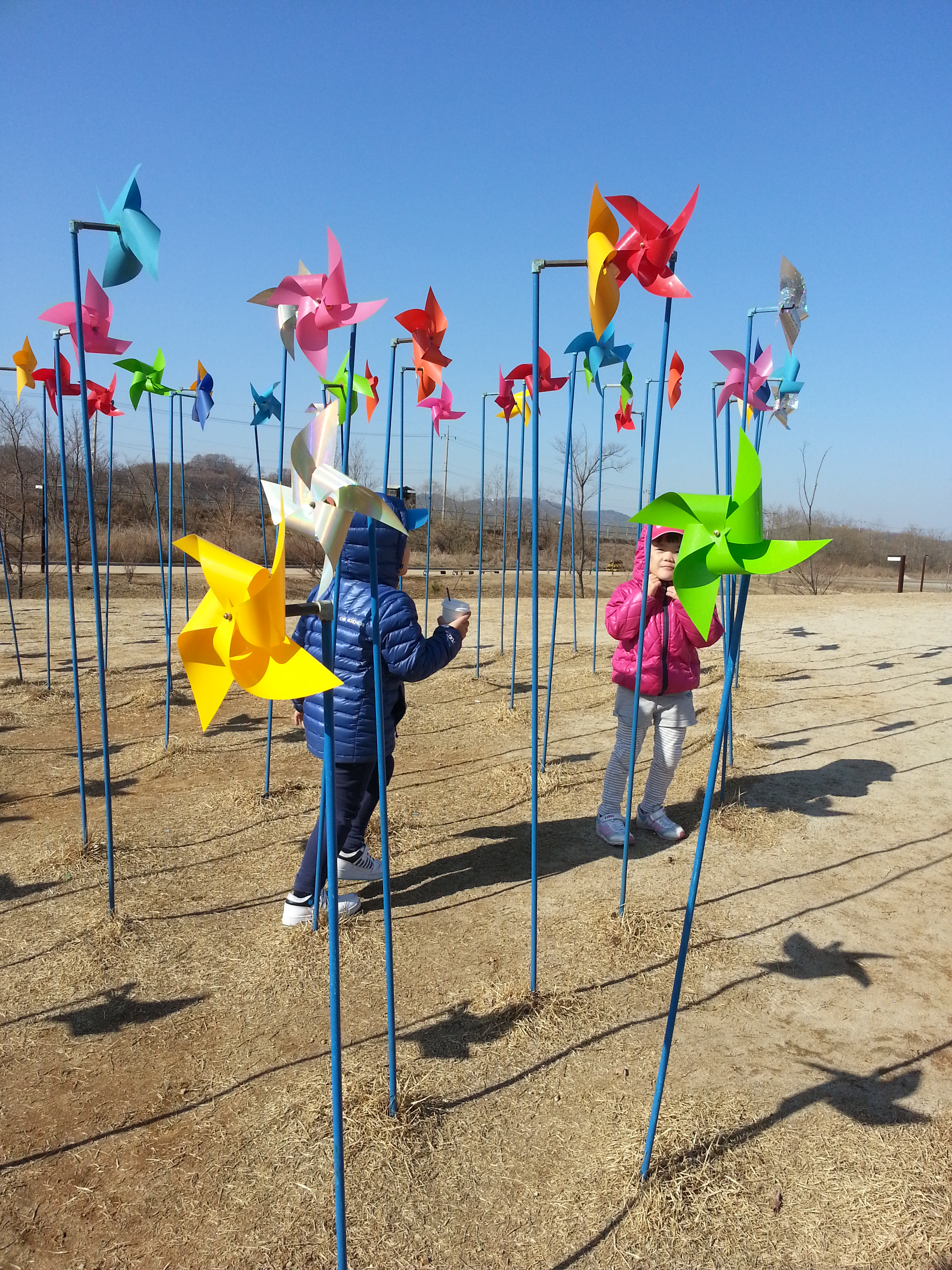 2013-03-10 15.14.50.jpg