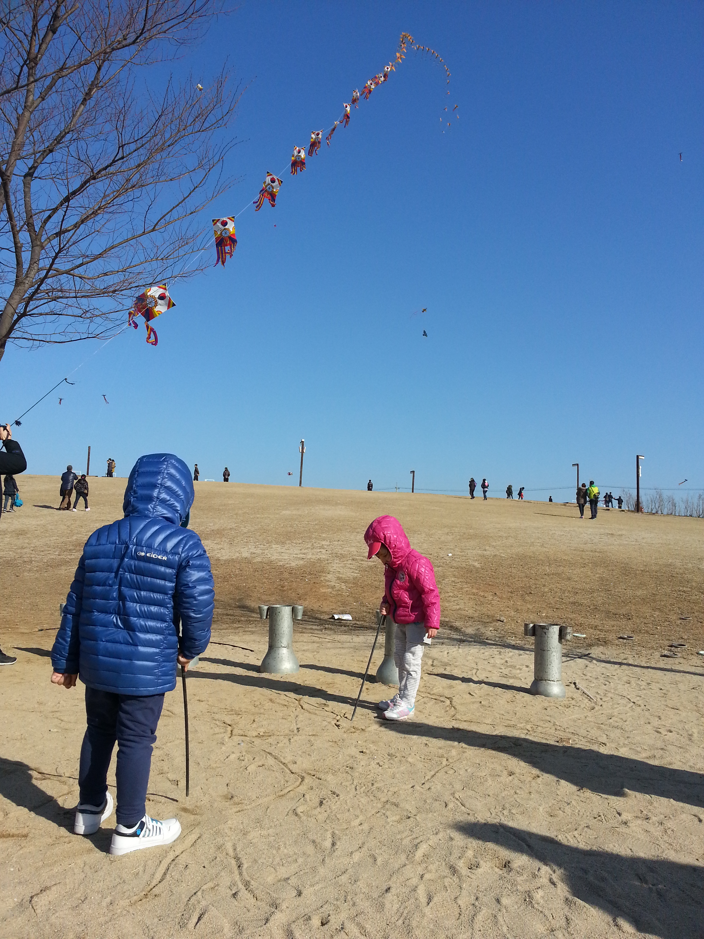 2013-03-10 16.03.28.jpg