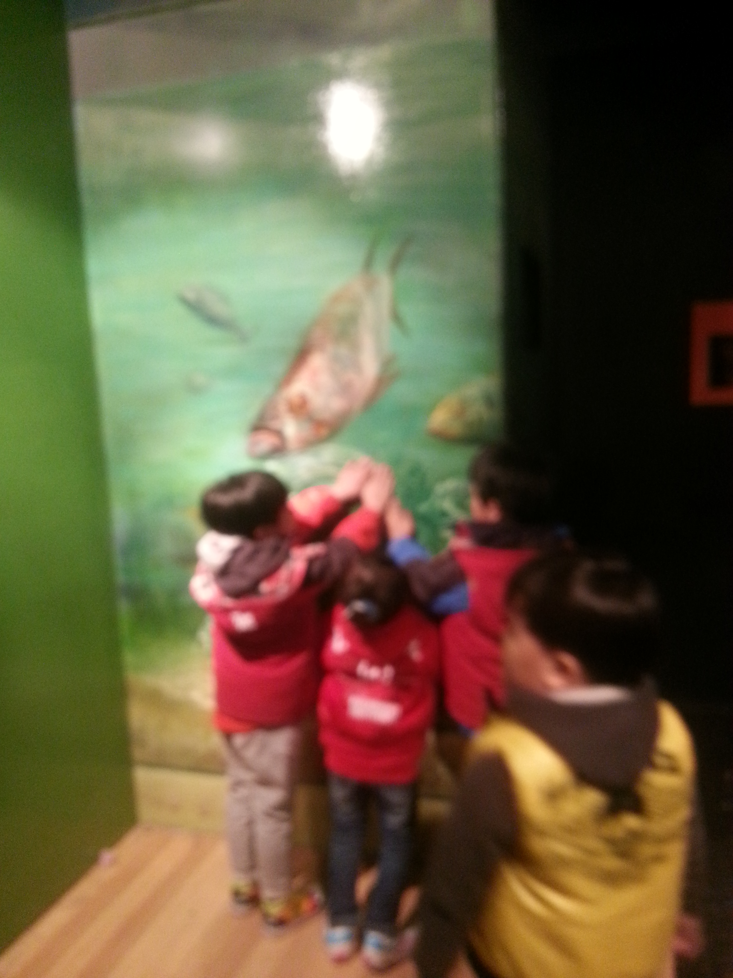 2013-03-24 16.32.46.jpg