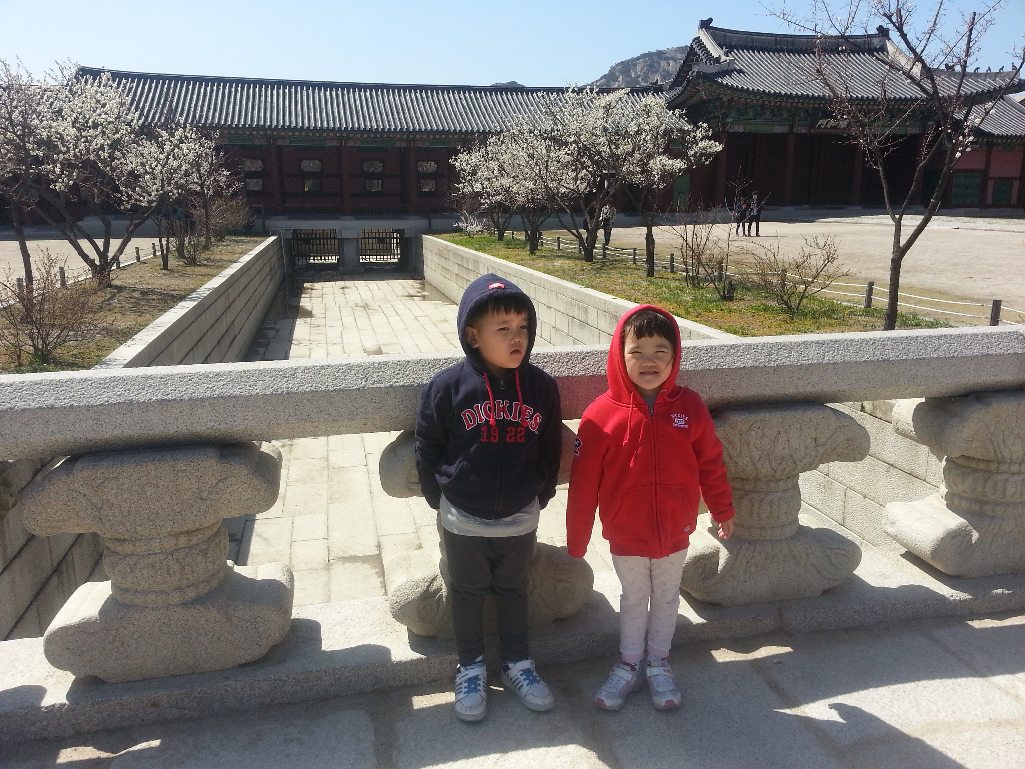2013-04-14 14.21.54.jpg