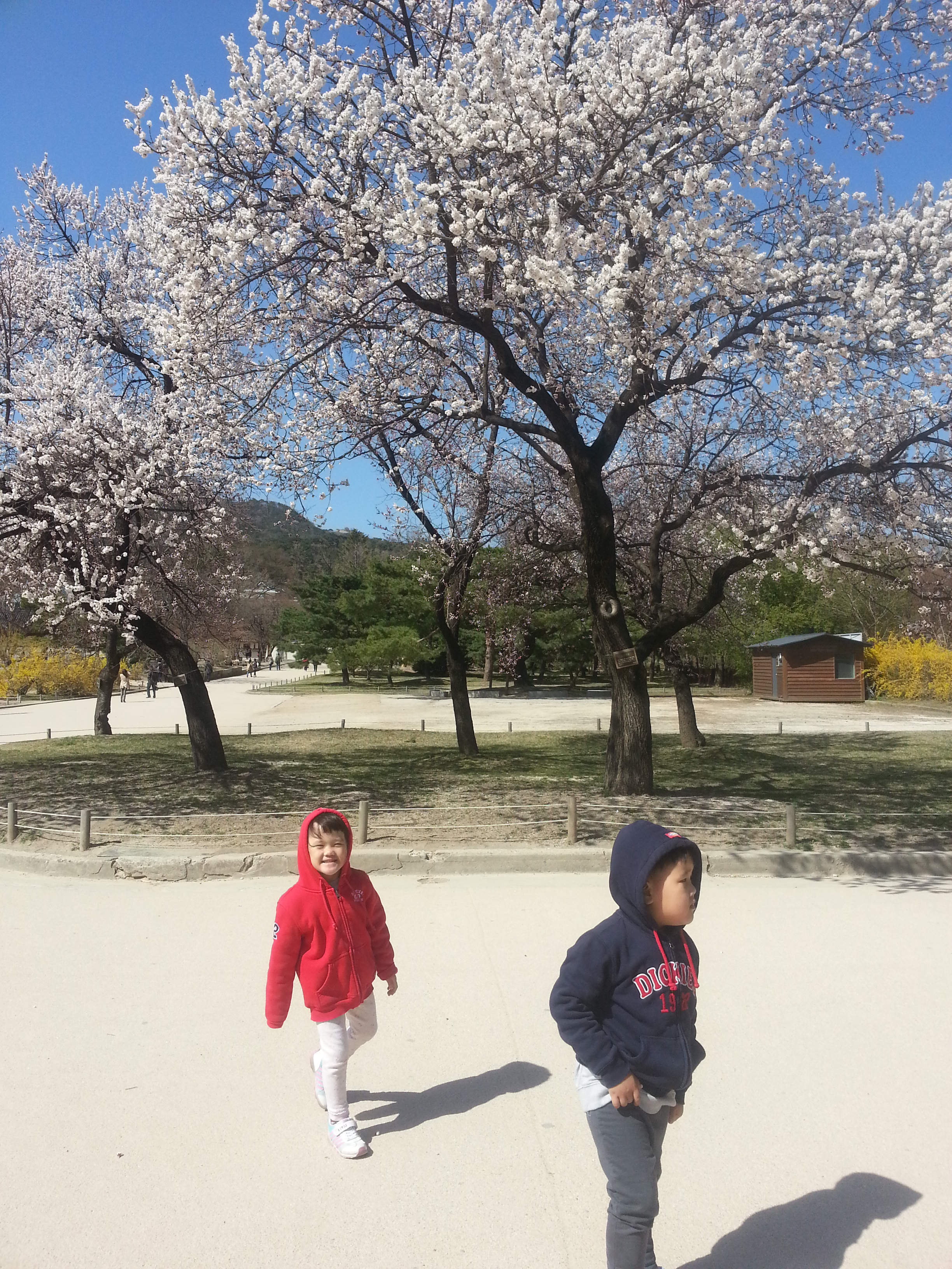 2013-04-14 14.51.05.jpg