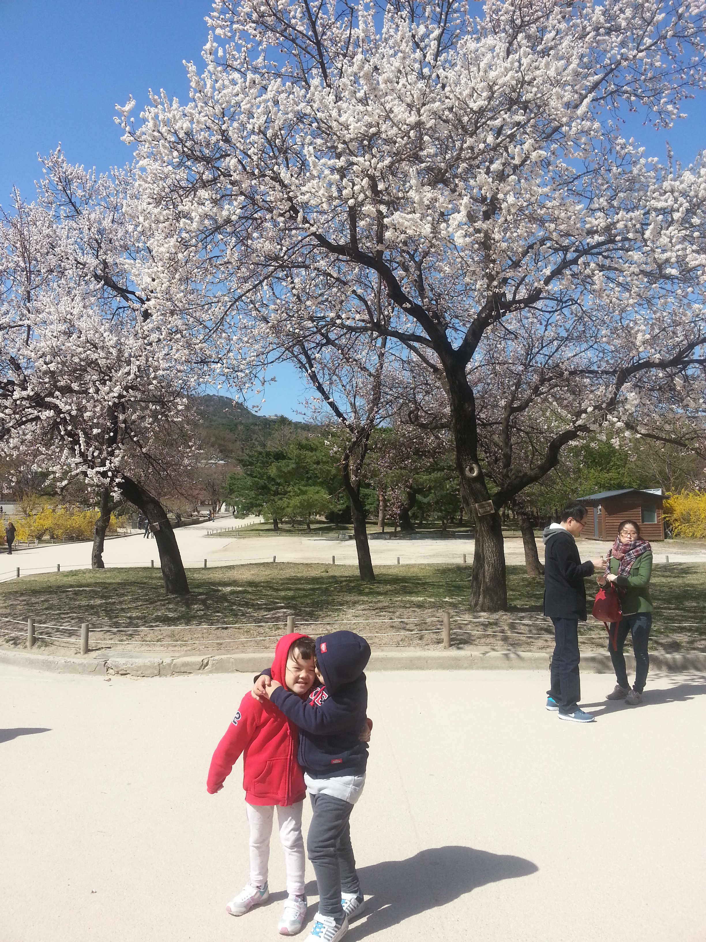 2013-04-14 14.51.16.jpg