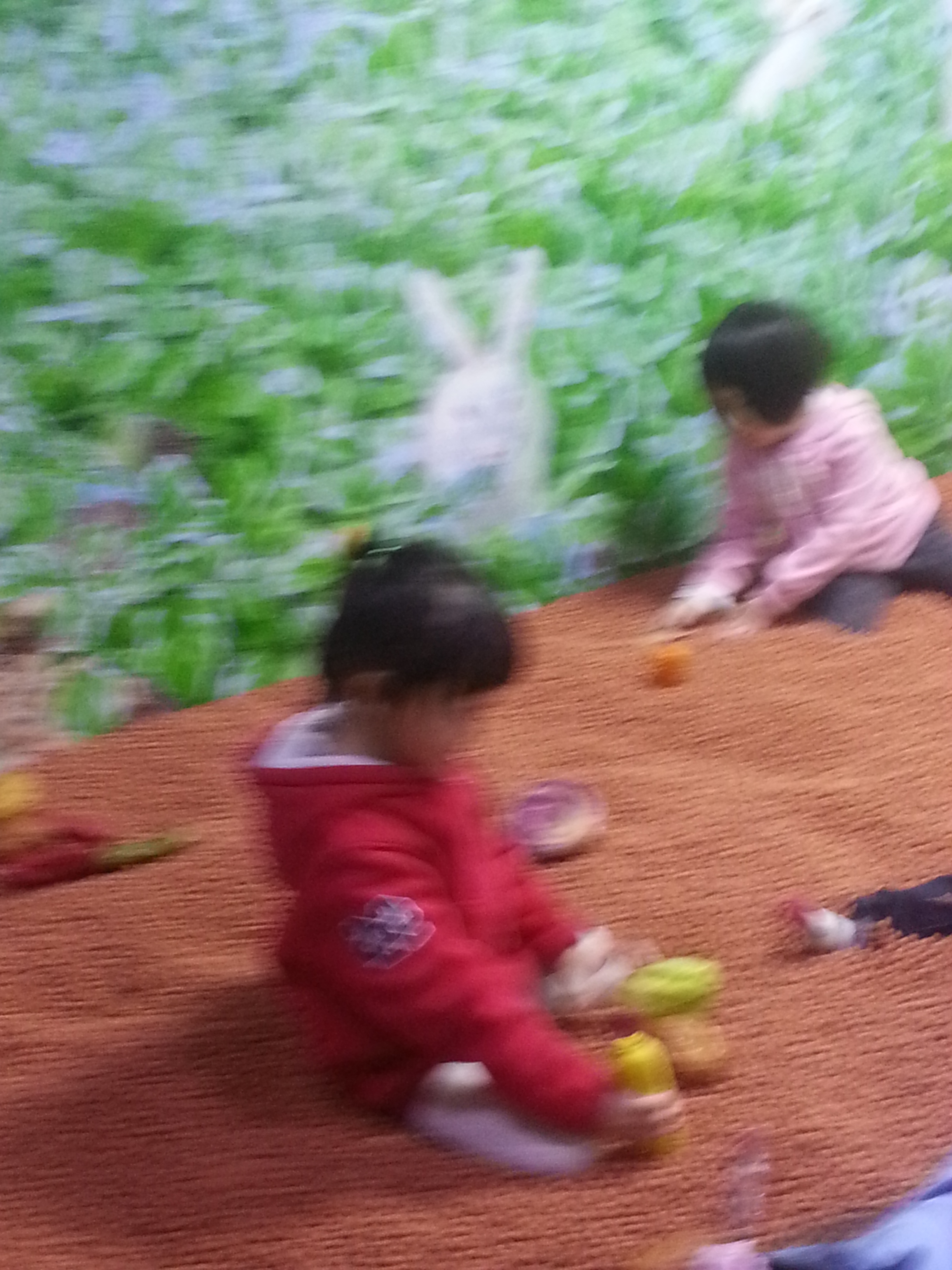 2013-04-14 15.55.24.jpg