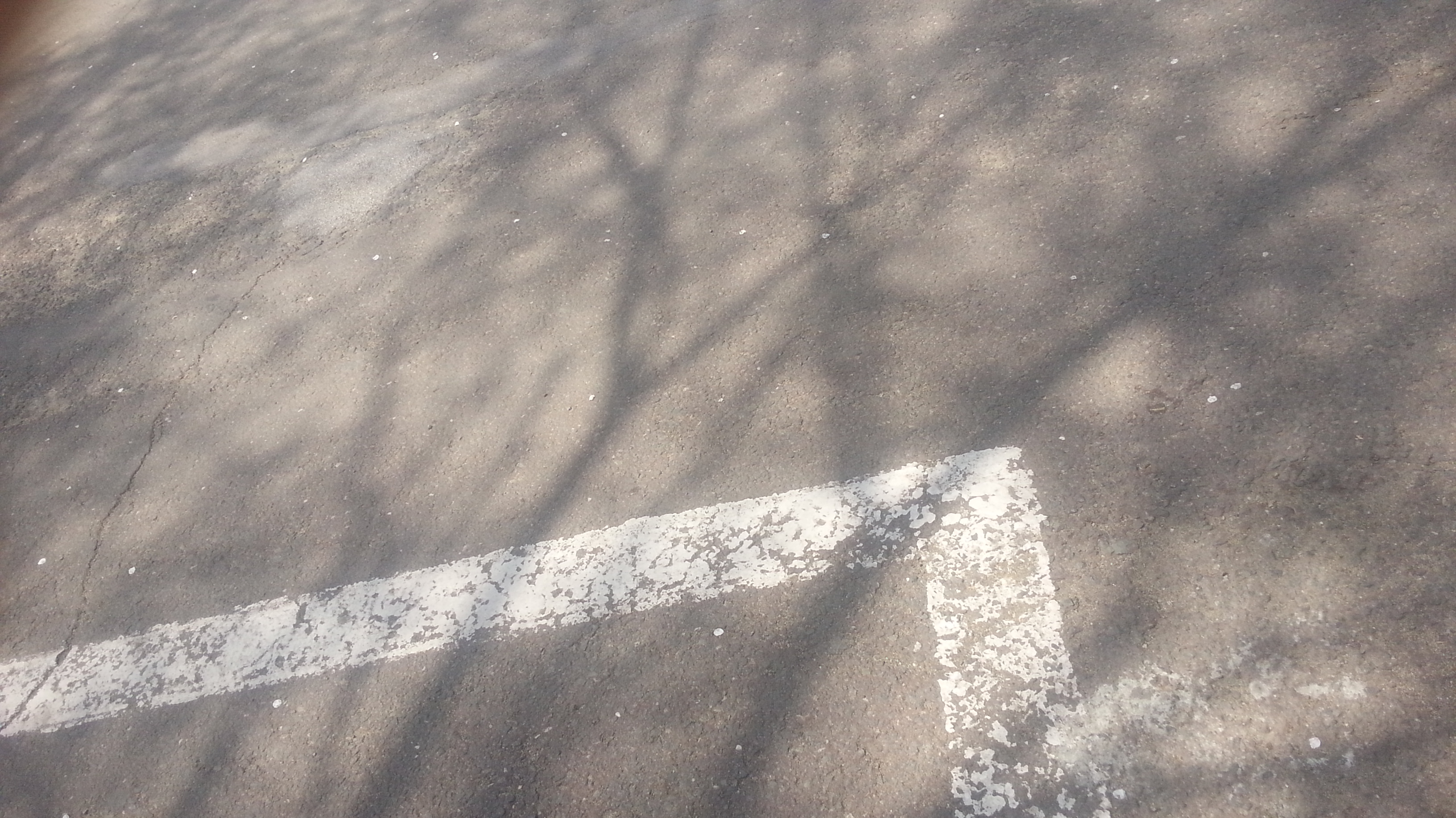 2013-04-18 13.34.45.jpg