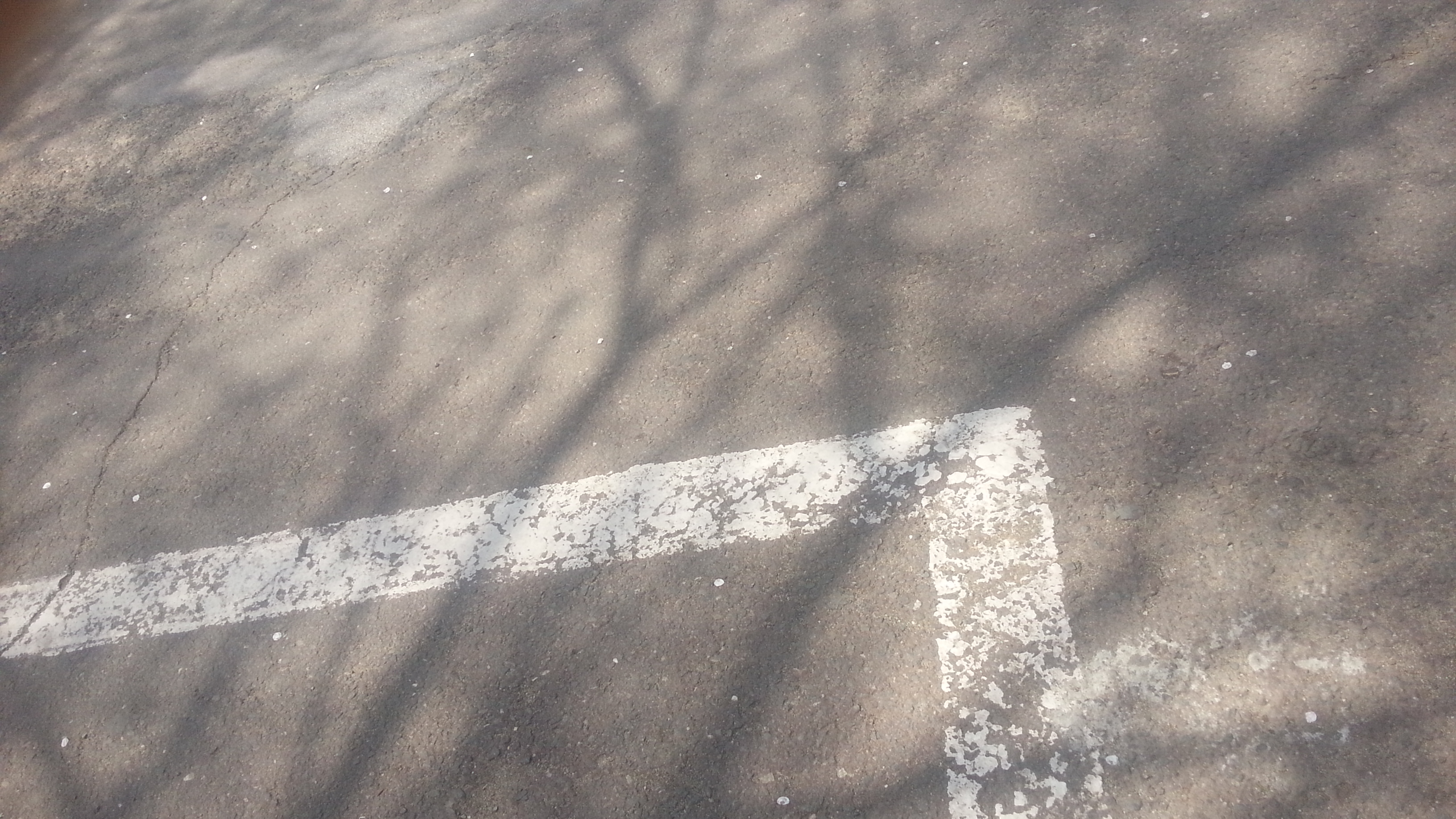 2013-04-18 13.34.47.jpg