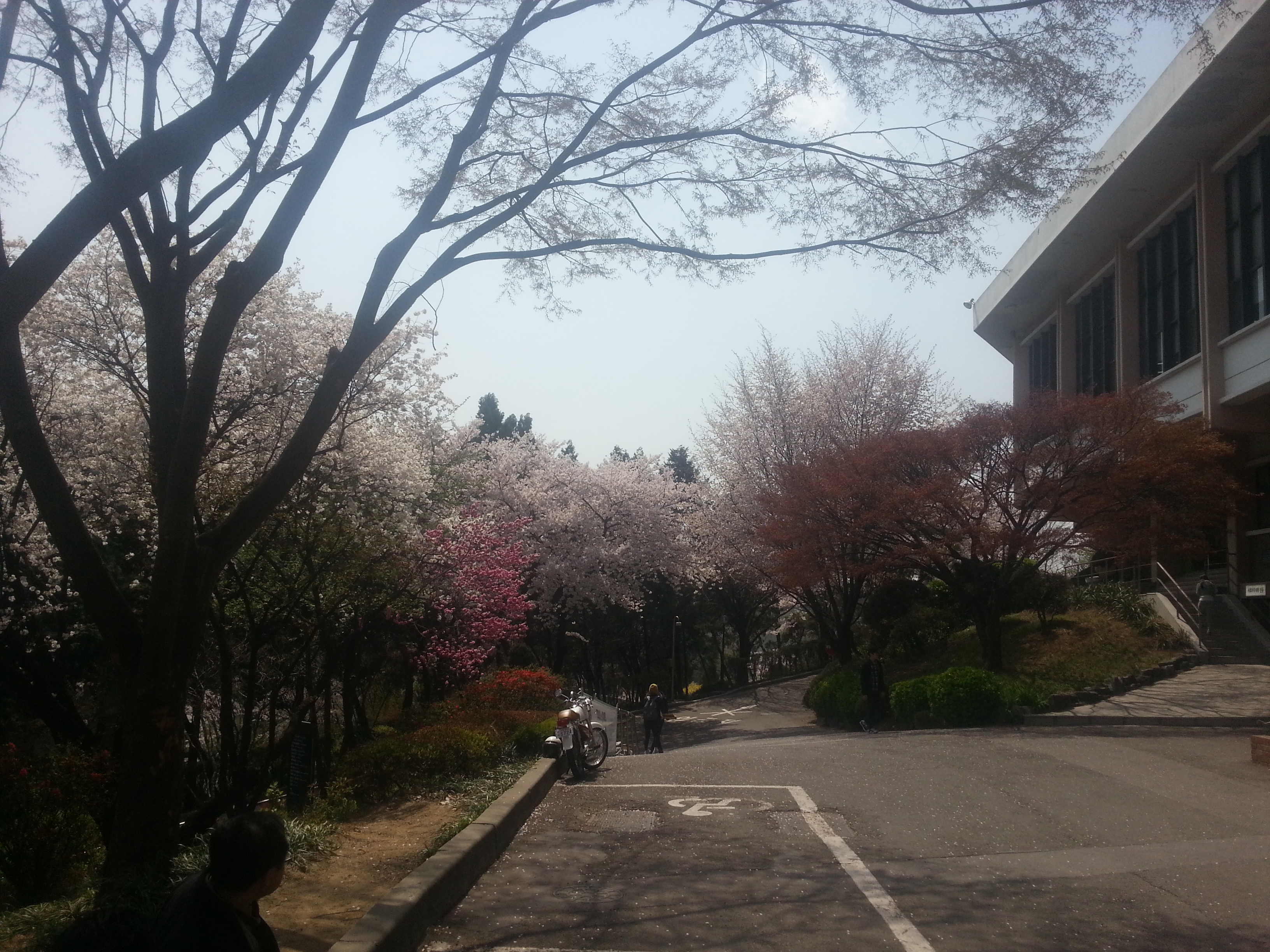 2013-04-18 13.34.59.jpg
