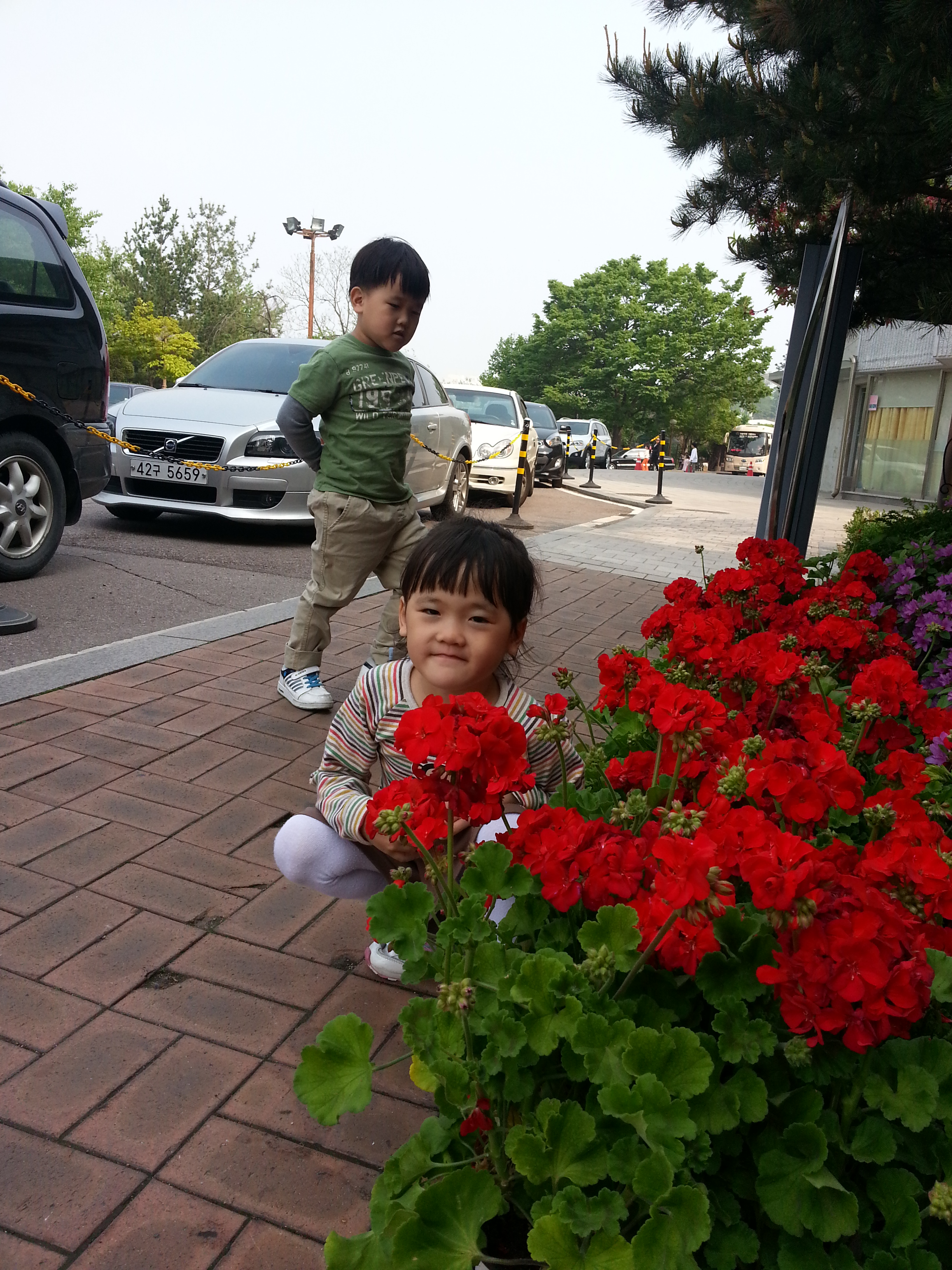 2013-05-12 15.22.32.jpg