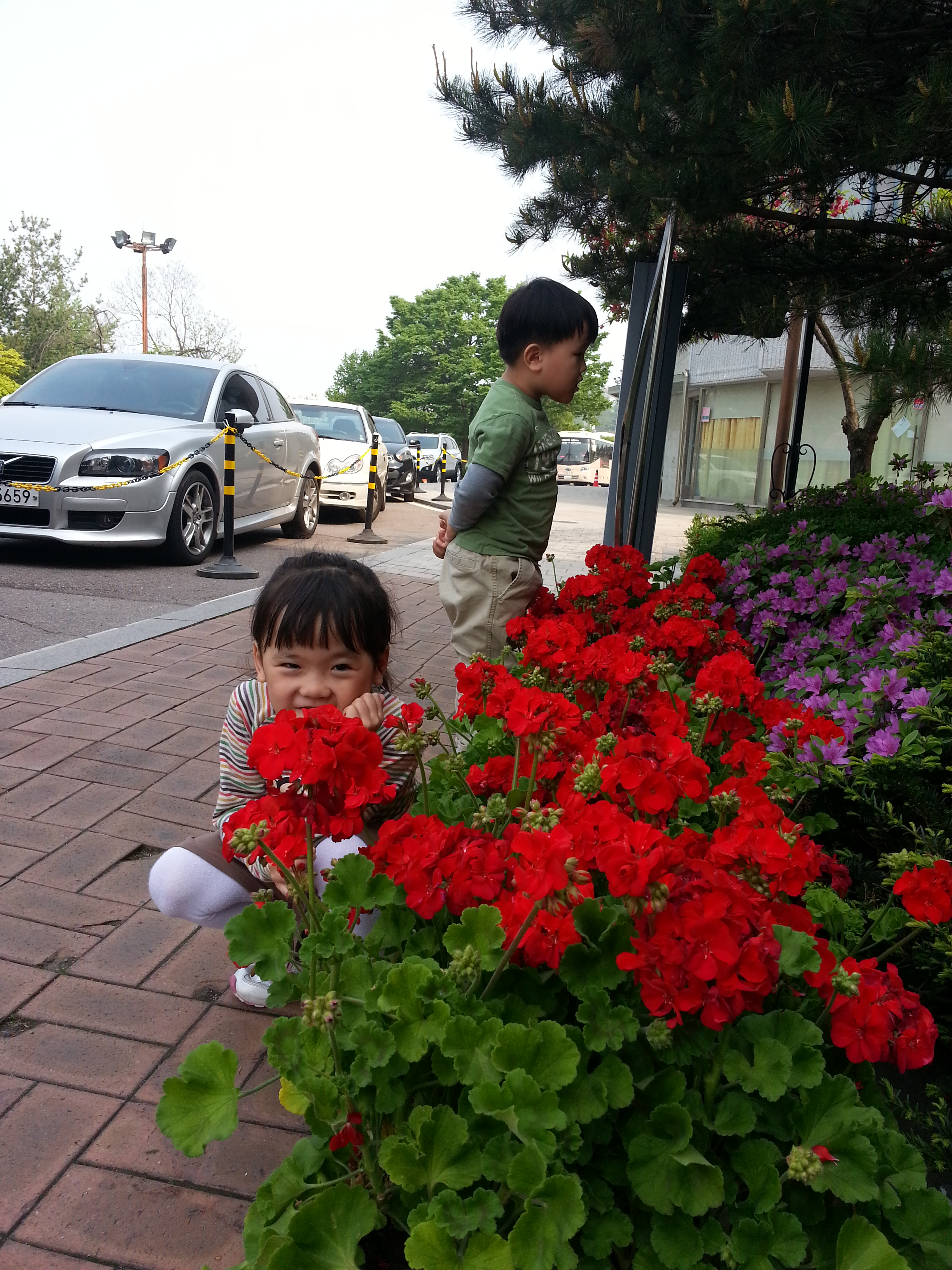 2013-05-12 15.22.35.jpg