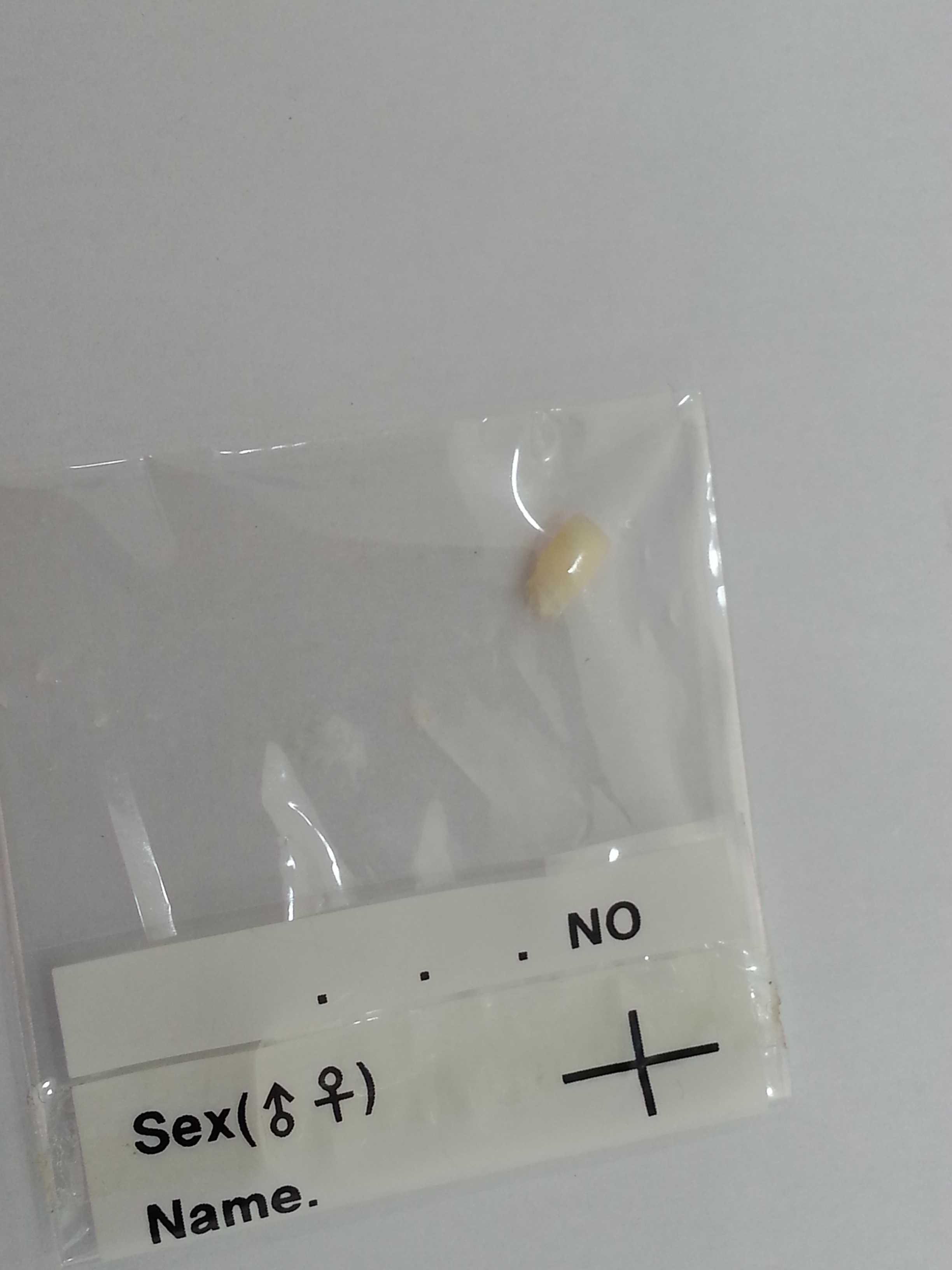 2013-05-21 15.31.15.jpg