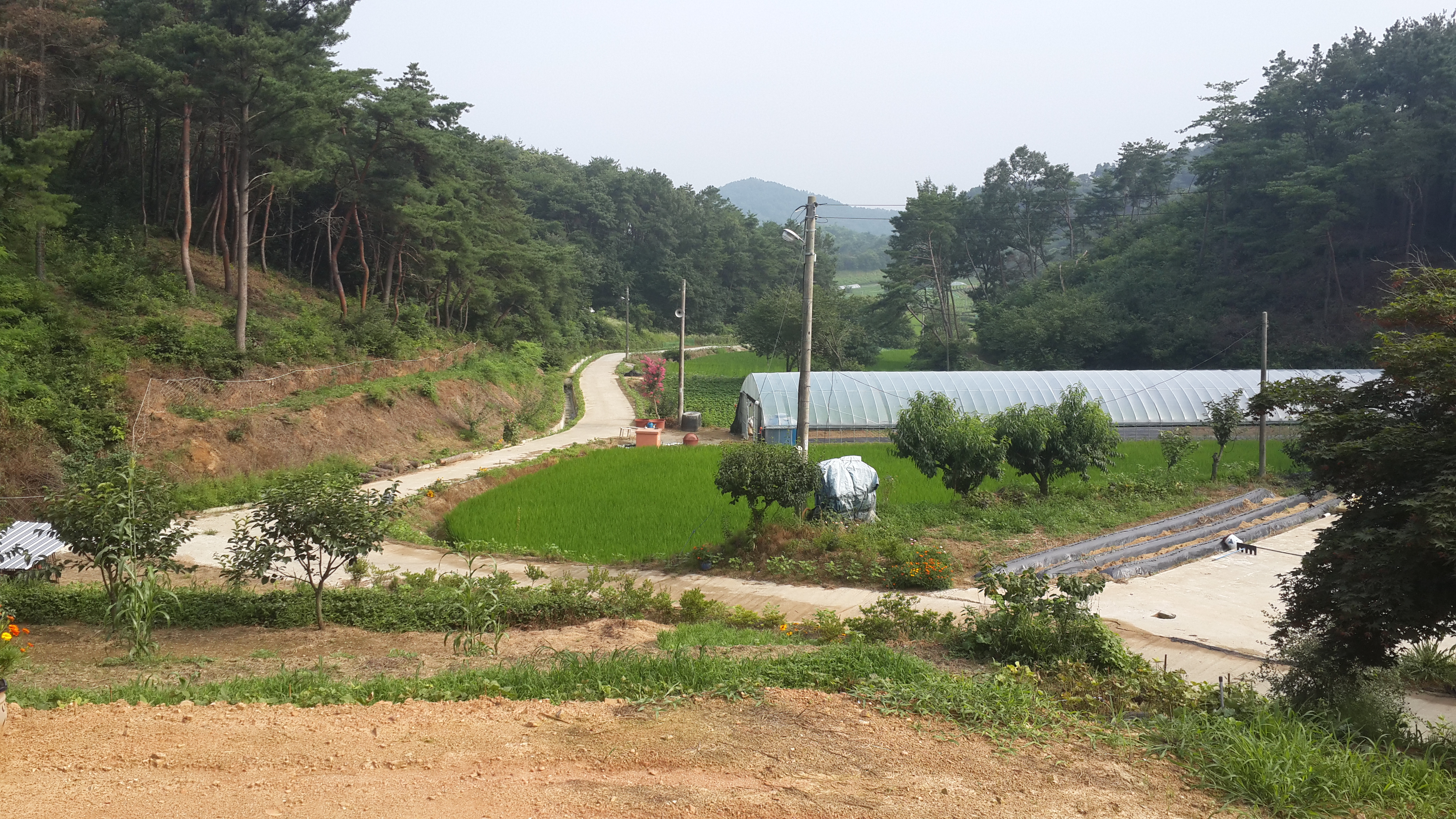 2013-07-27 16.38.21.jpg