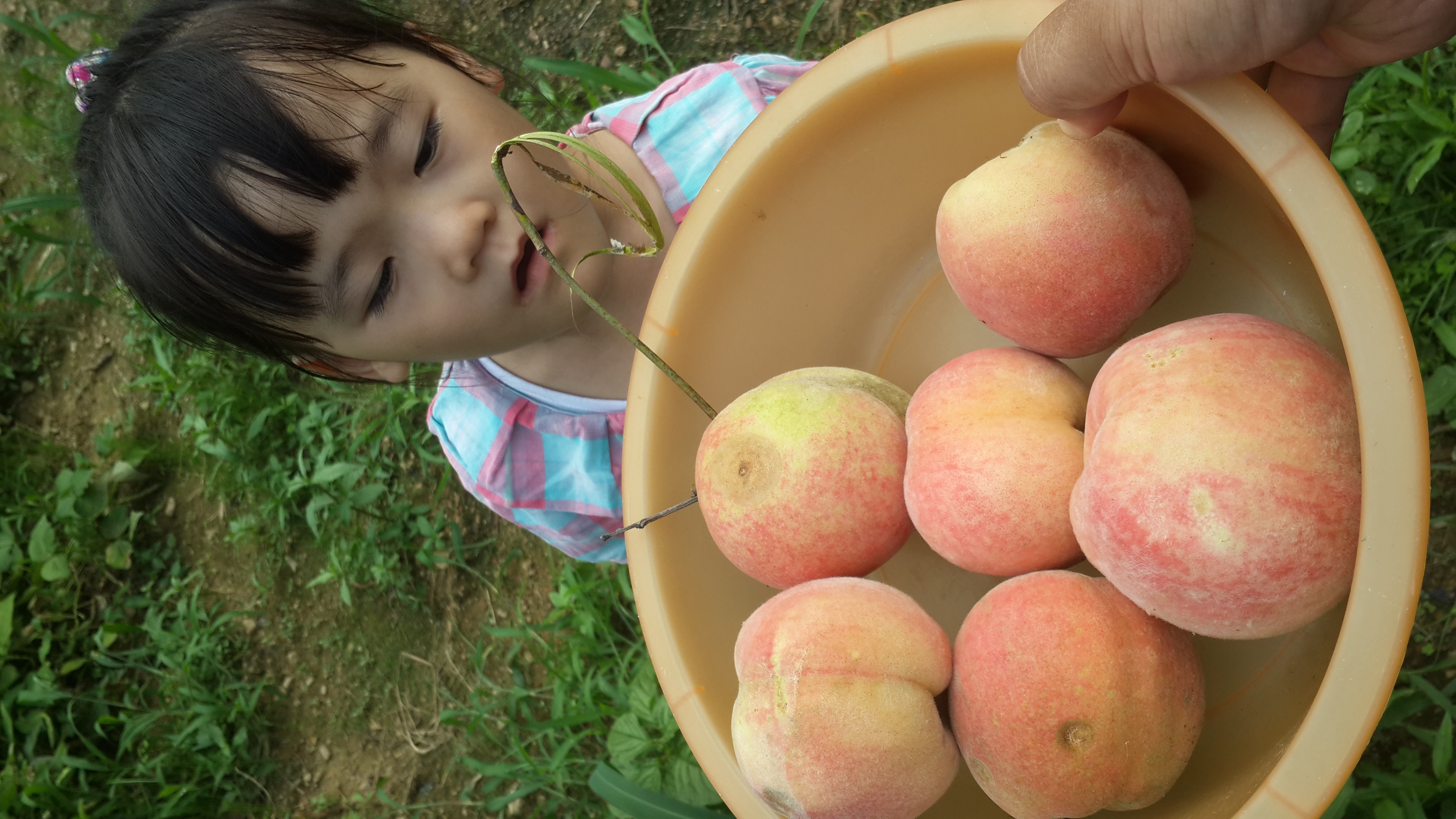 2013-07-27 16.42.23.jpg