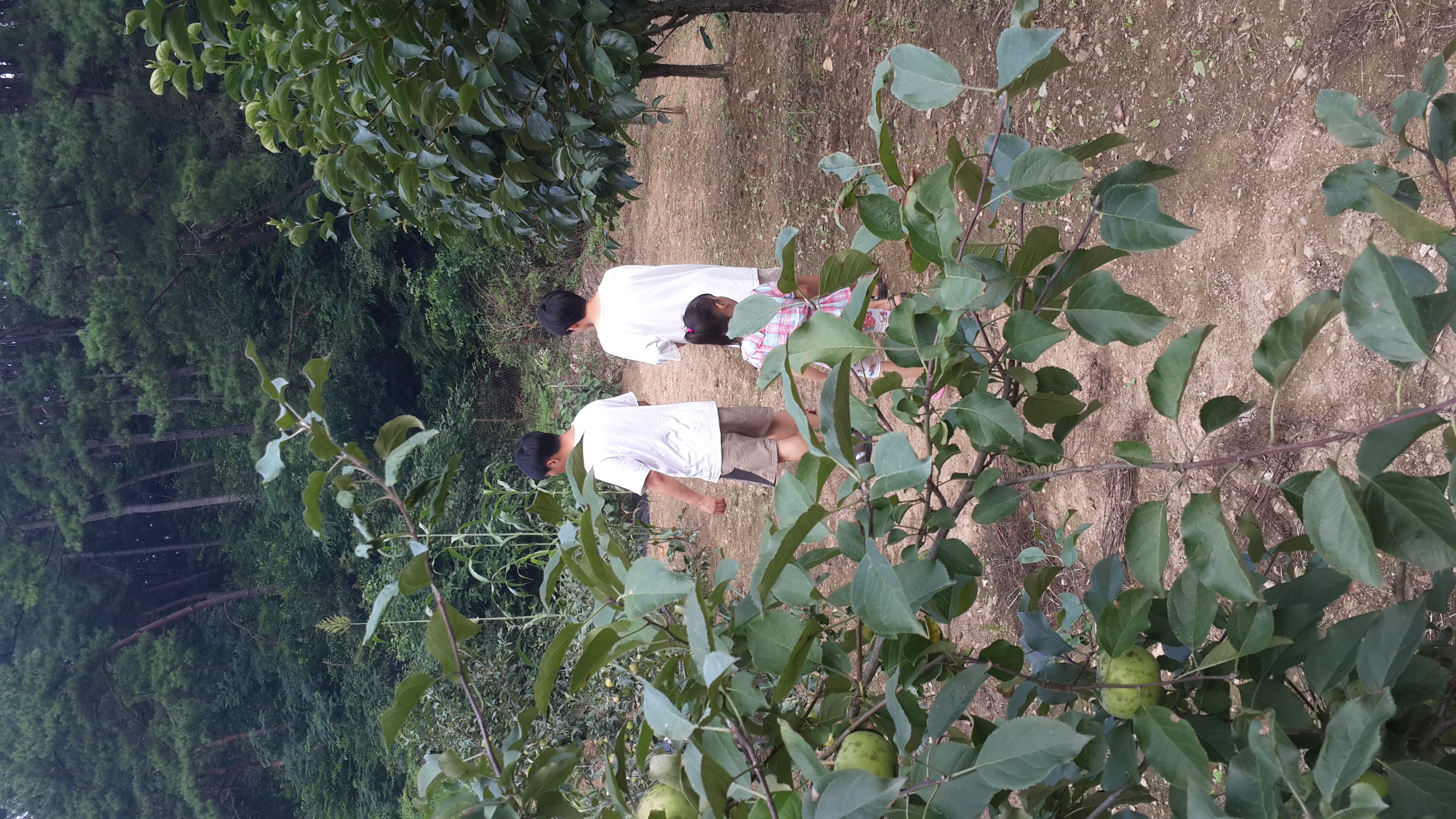 2013-07-27 16.43.53.jpg