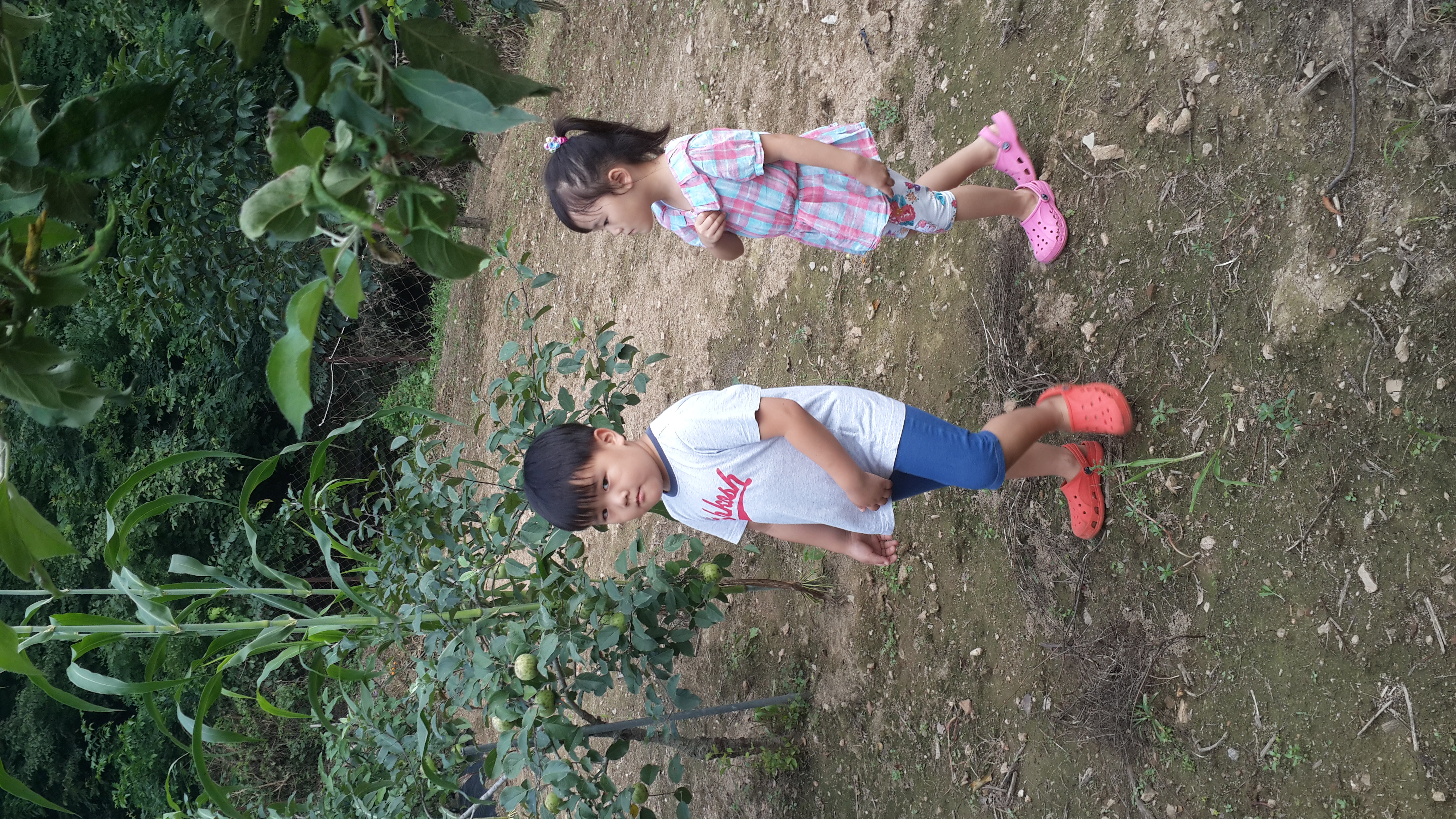 2013-07-27 16.44.10.jpg