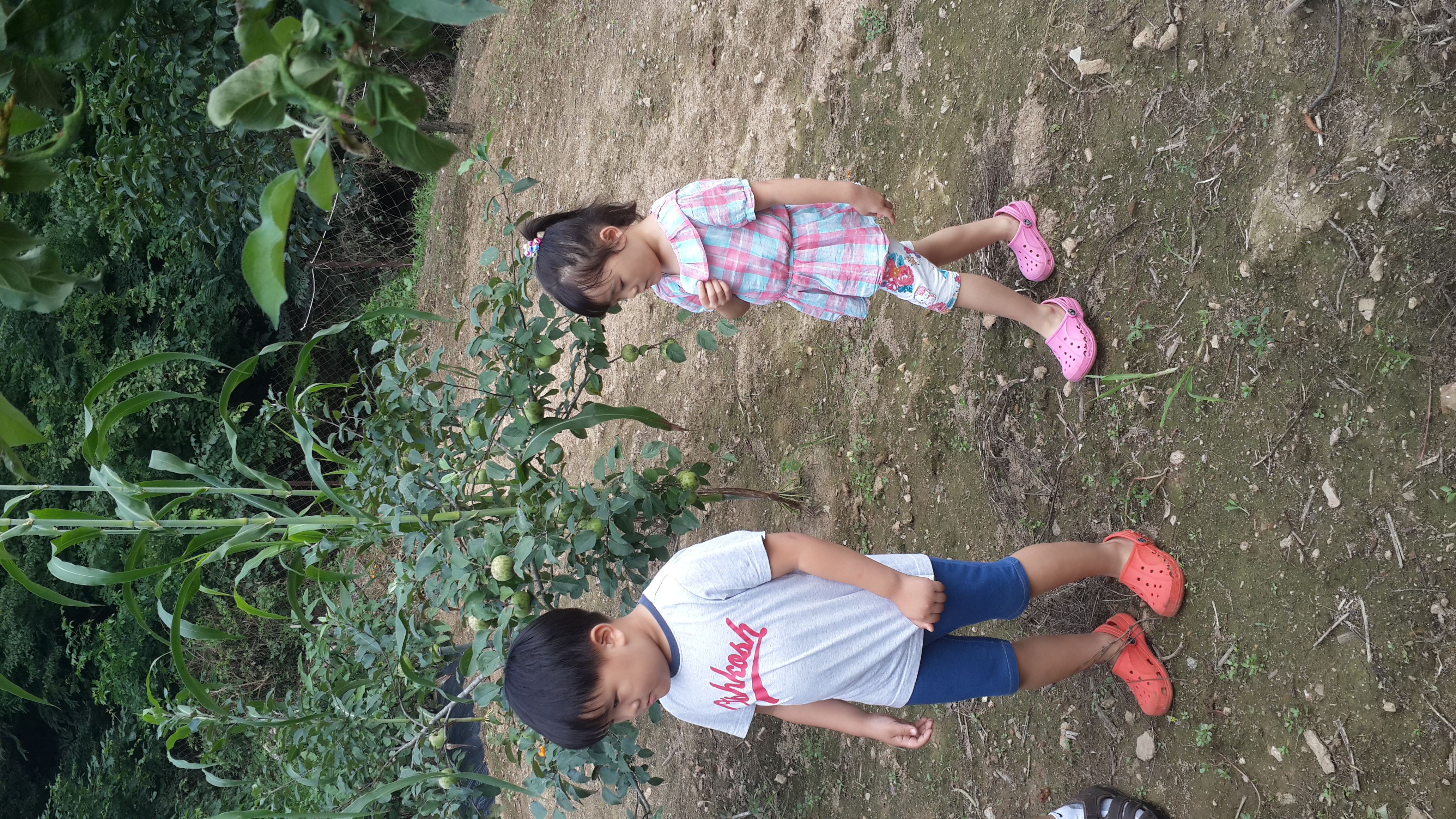2013-07-27 16.44.11.jpg