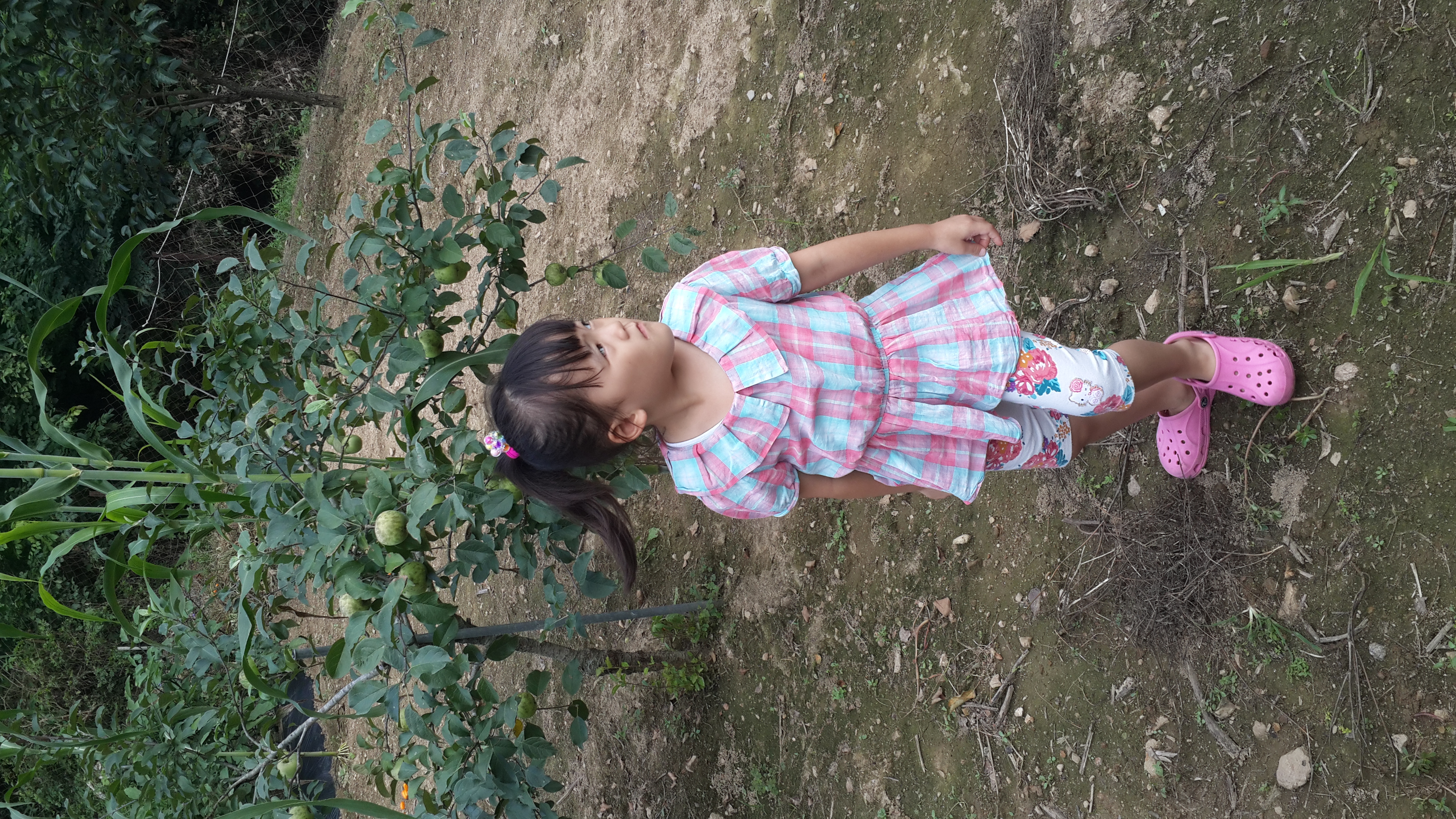 2013-07-27 16.44.21.jpg