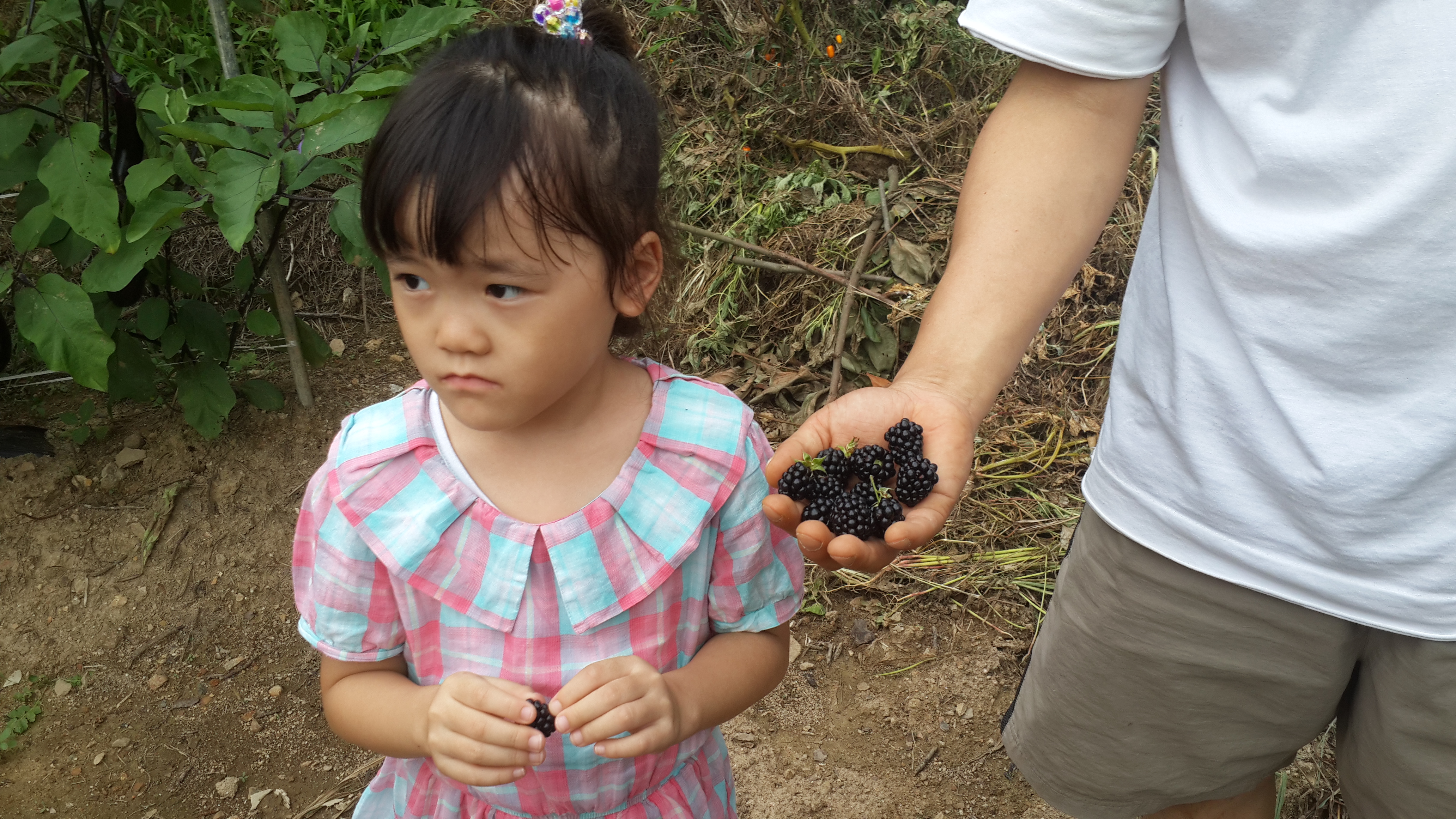 2013-07-27 16.47.31.jpg