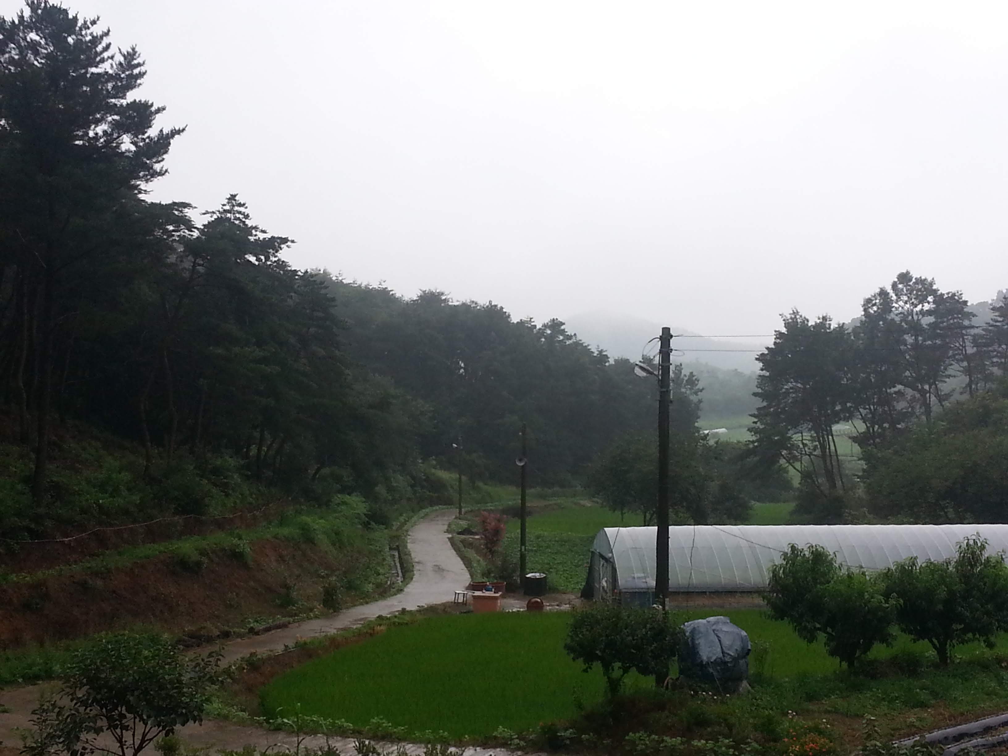 2013-07-28 09.06.11.jpg