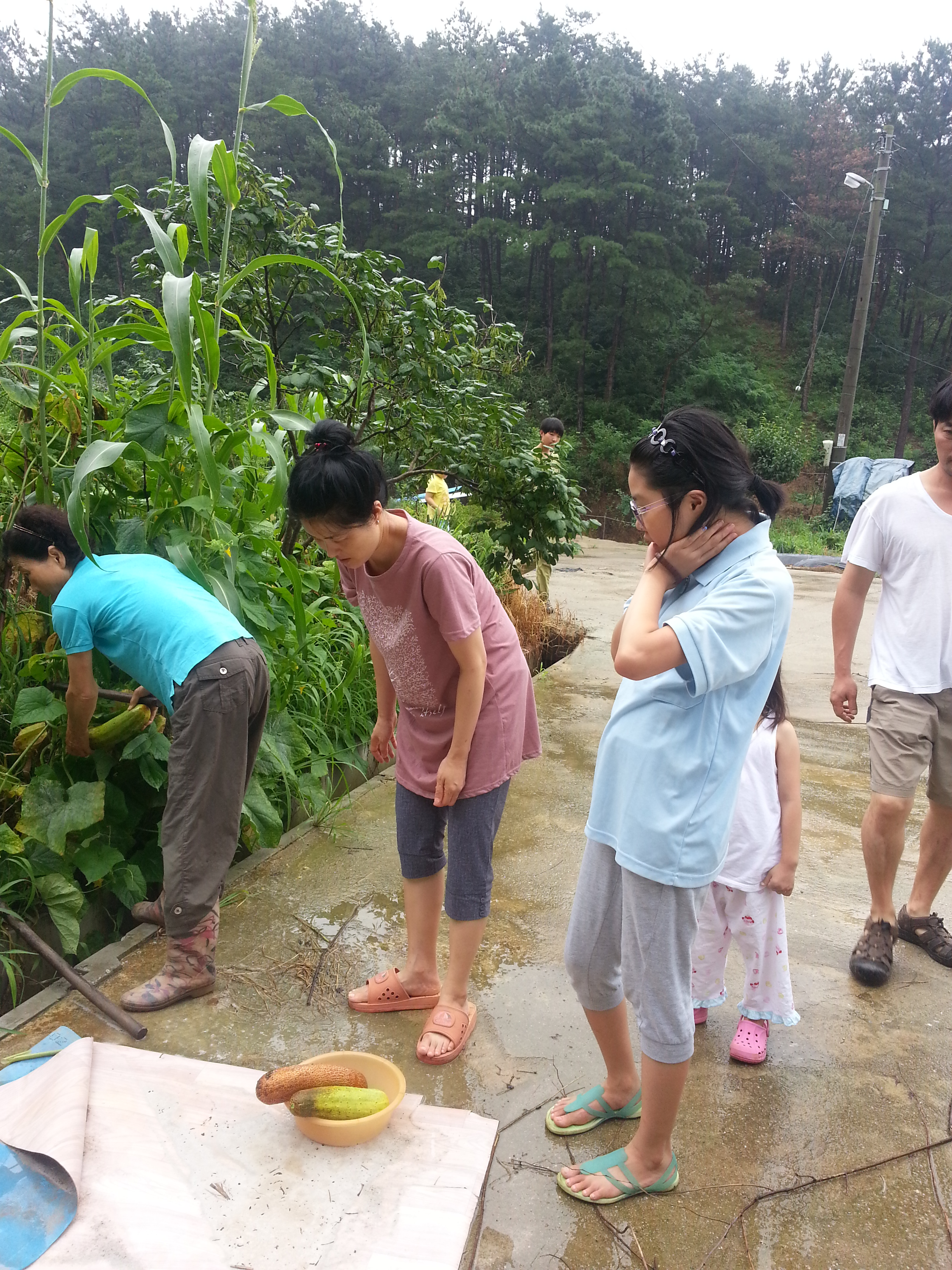 2013-07-28 10.54.33.jpg