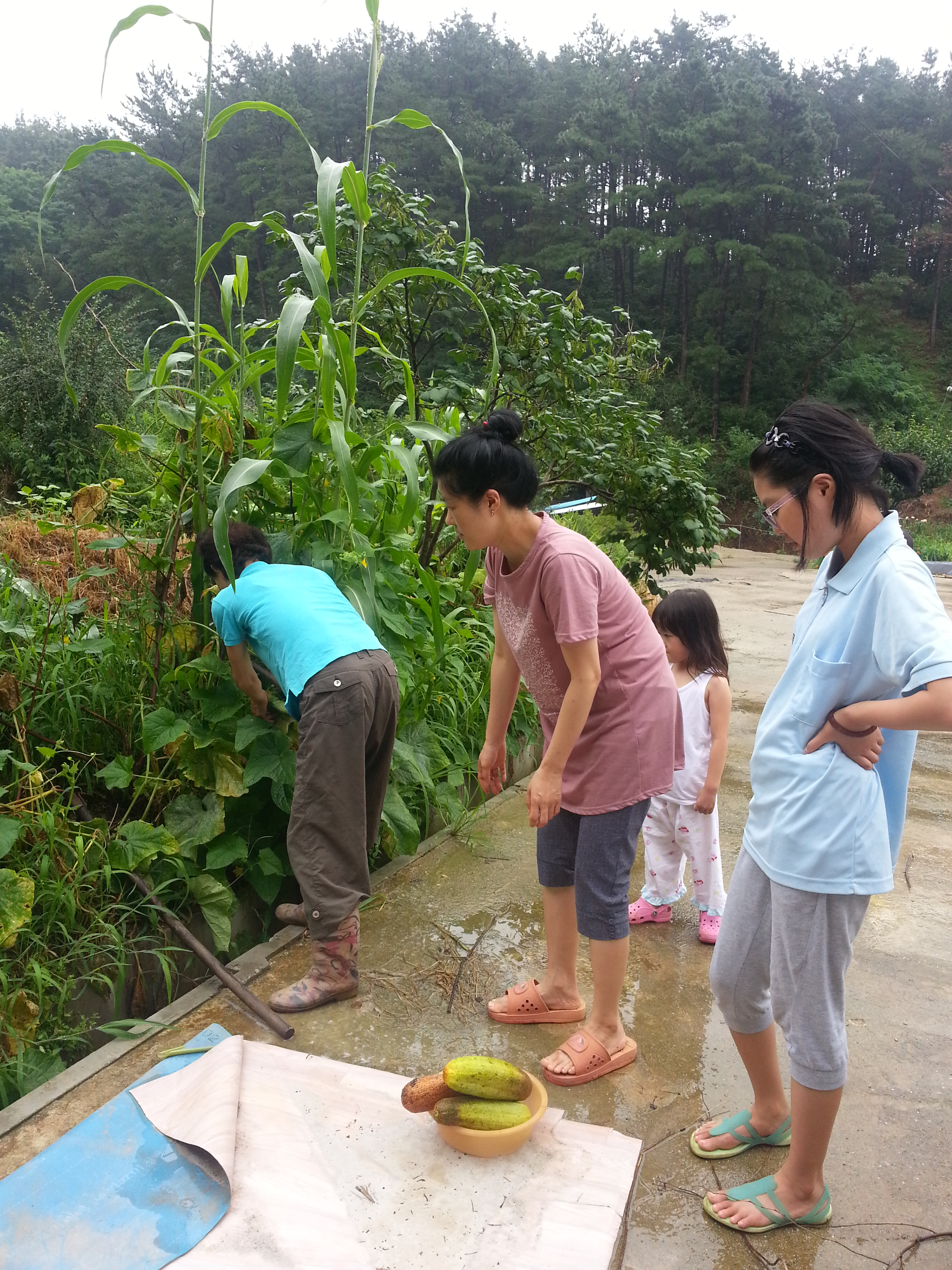 2013-07-28 10.54.39.jpg