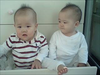 사진 080127_006.jpg