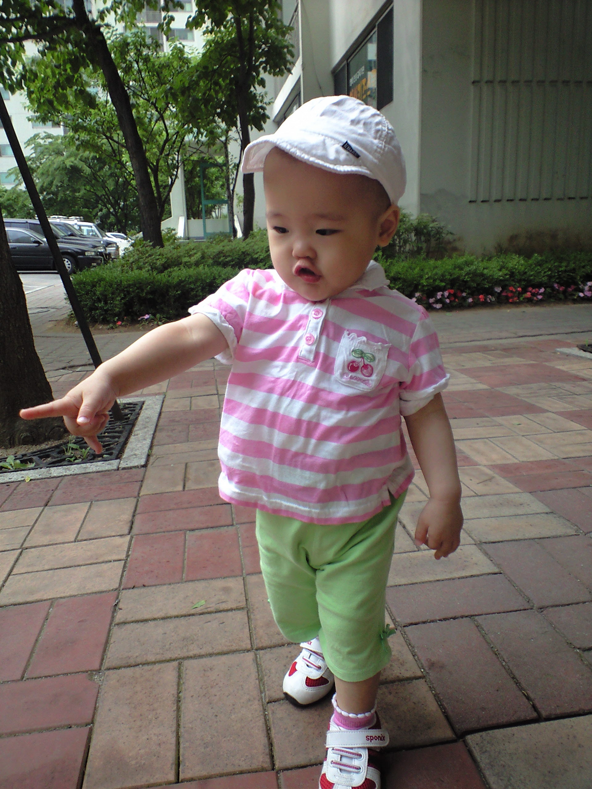 사진 080525_001.jpg