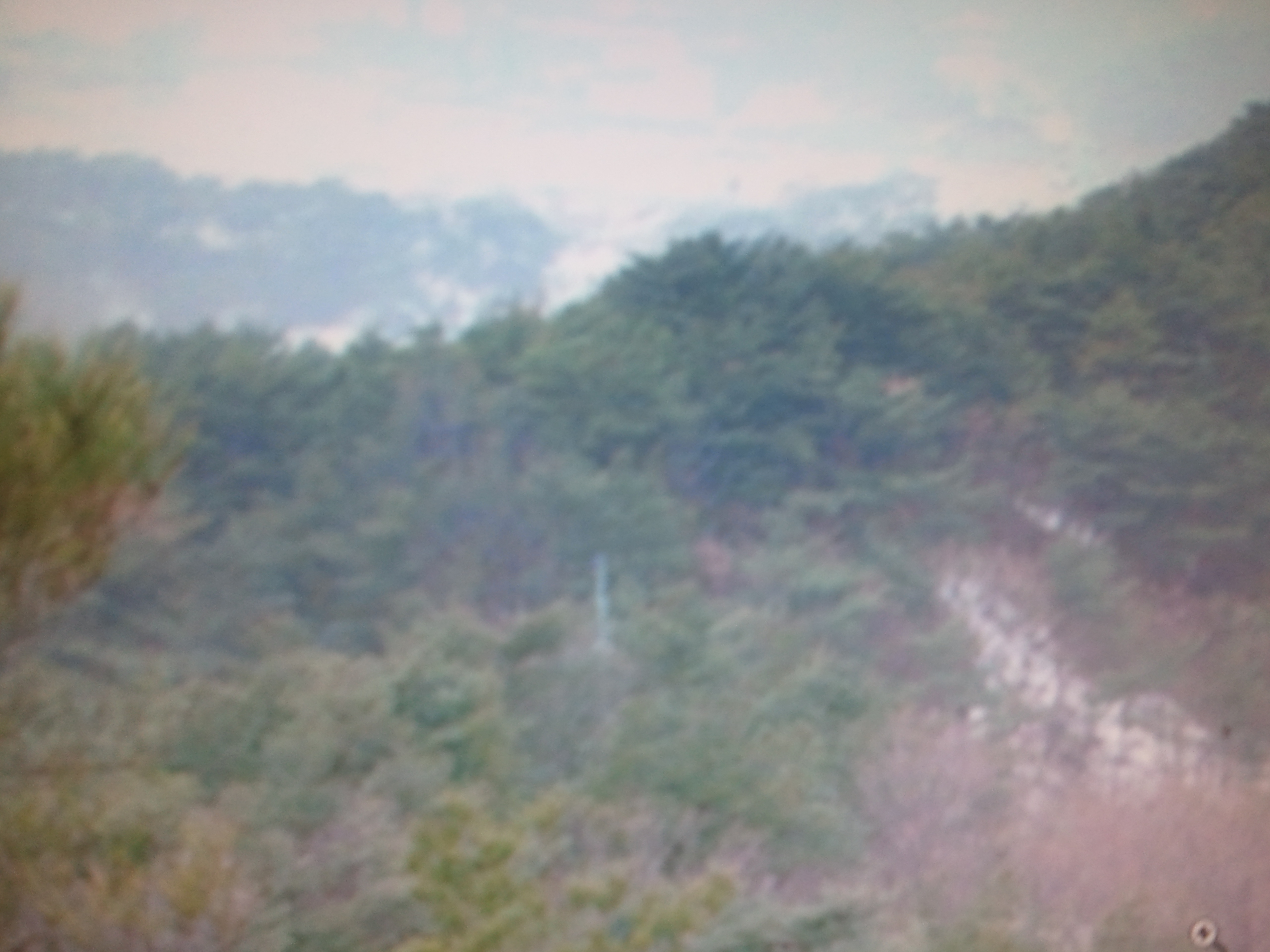 2011-03-12 11.55.21.jpg