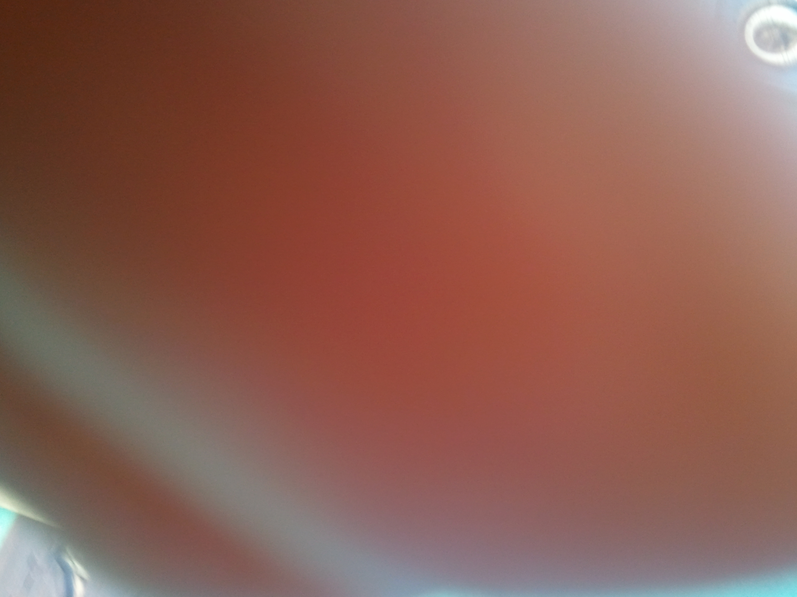 2011-10-08 16.56.46.jpg